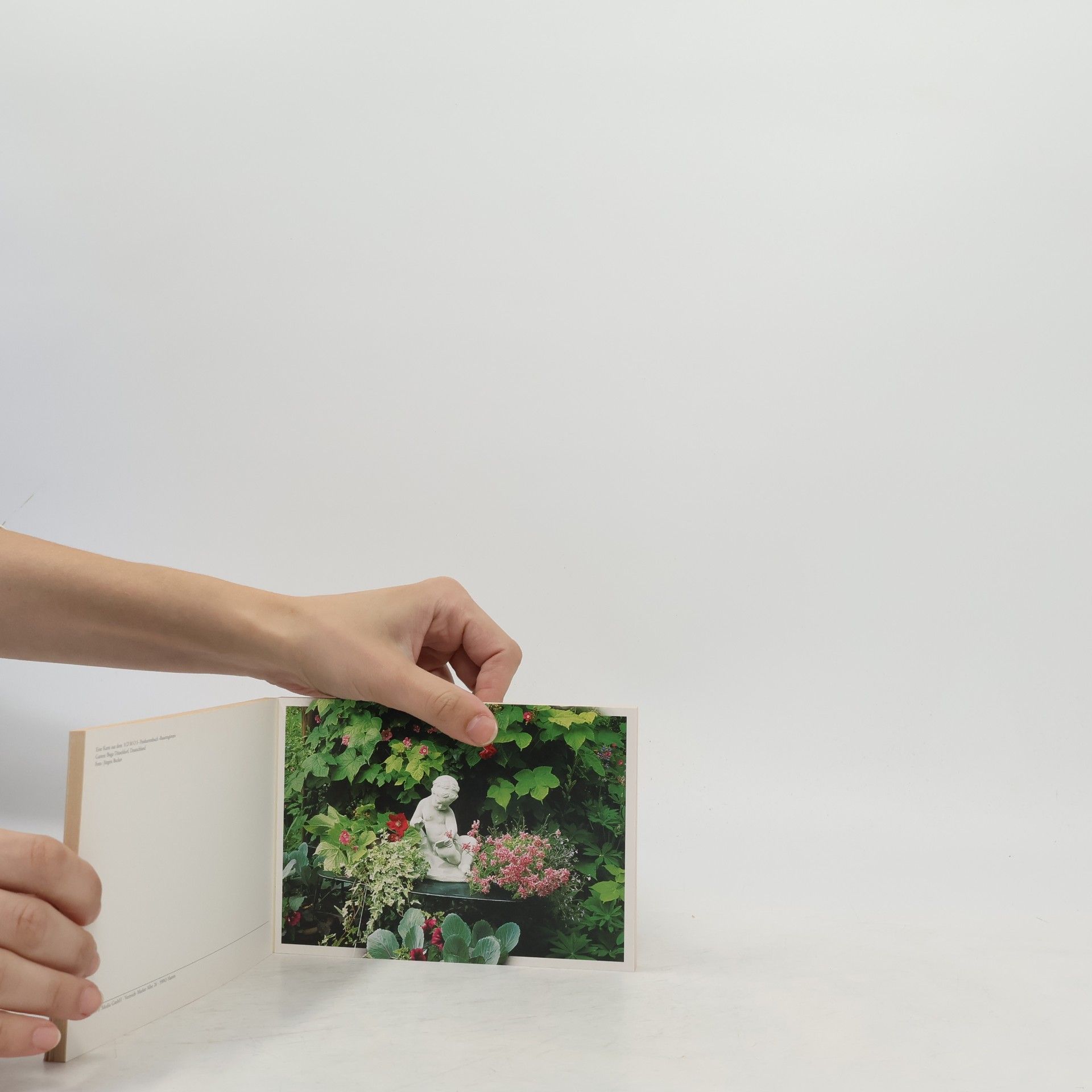 Bauerngärten / Rustic Gardens / Jardins de Permes: Postkartenbuch
