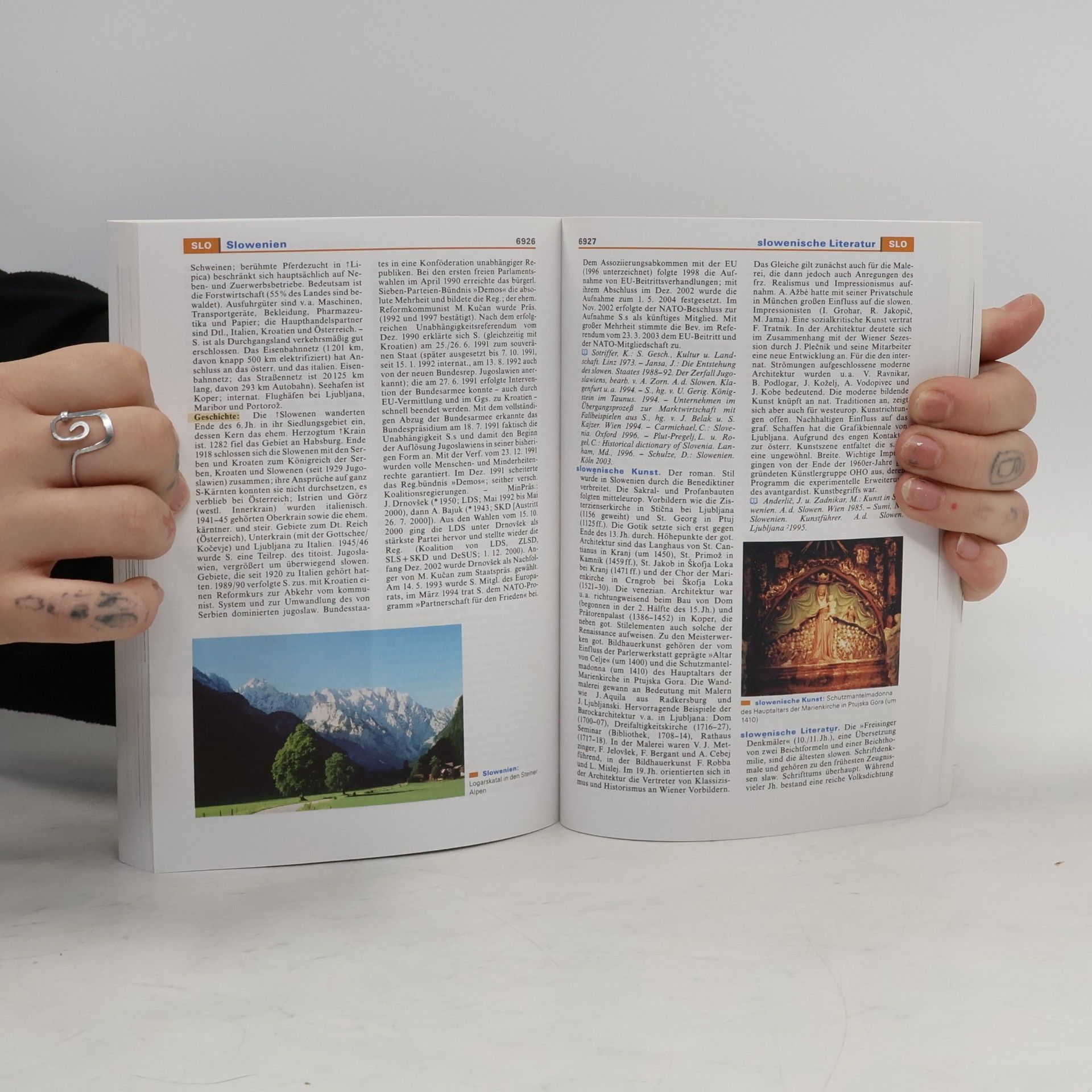 Various authors Meyers grosses Taschen-Lexikon in 26 banden. Band 21