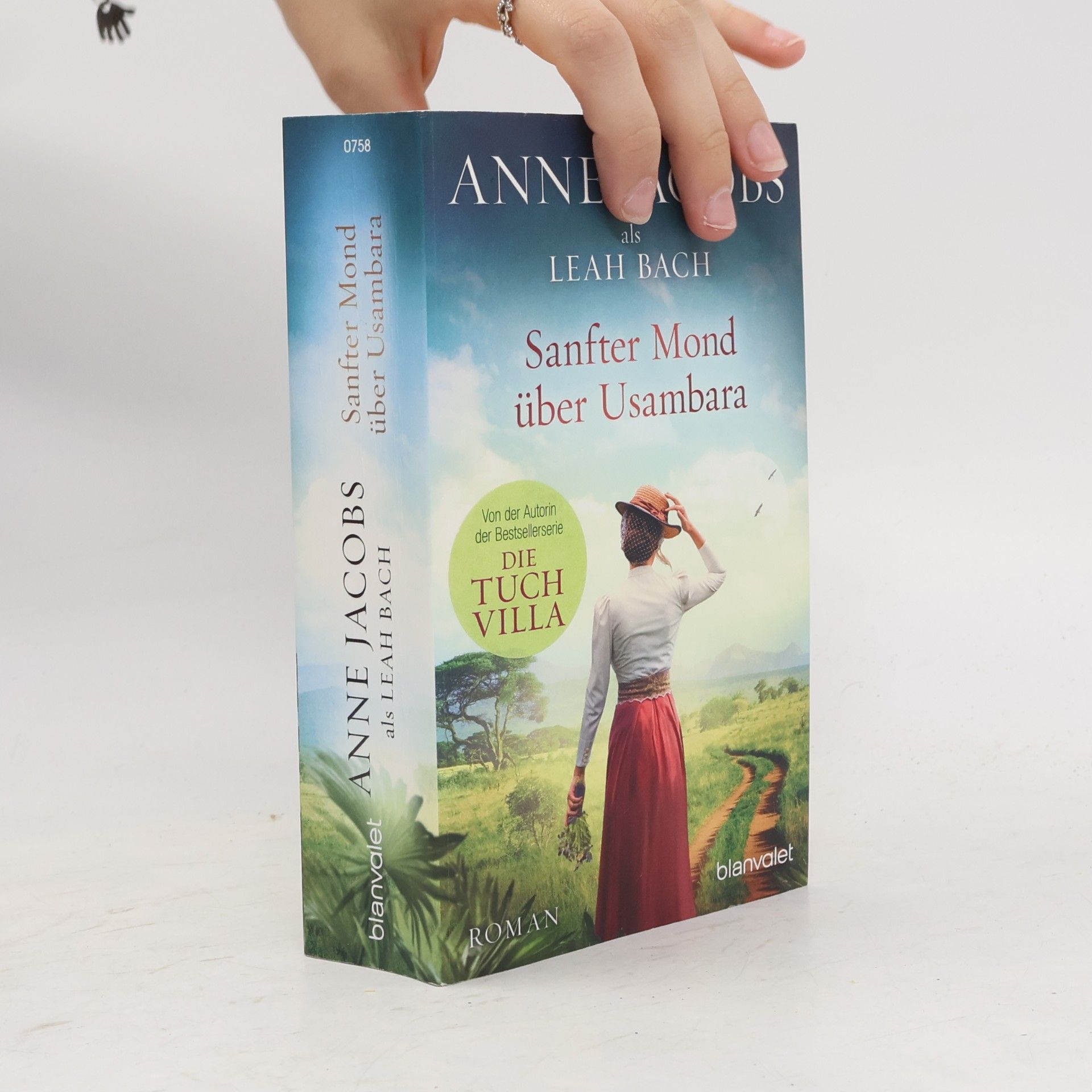Anne Jacobs Sanfter Mond über Usambara