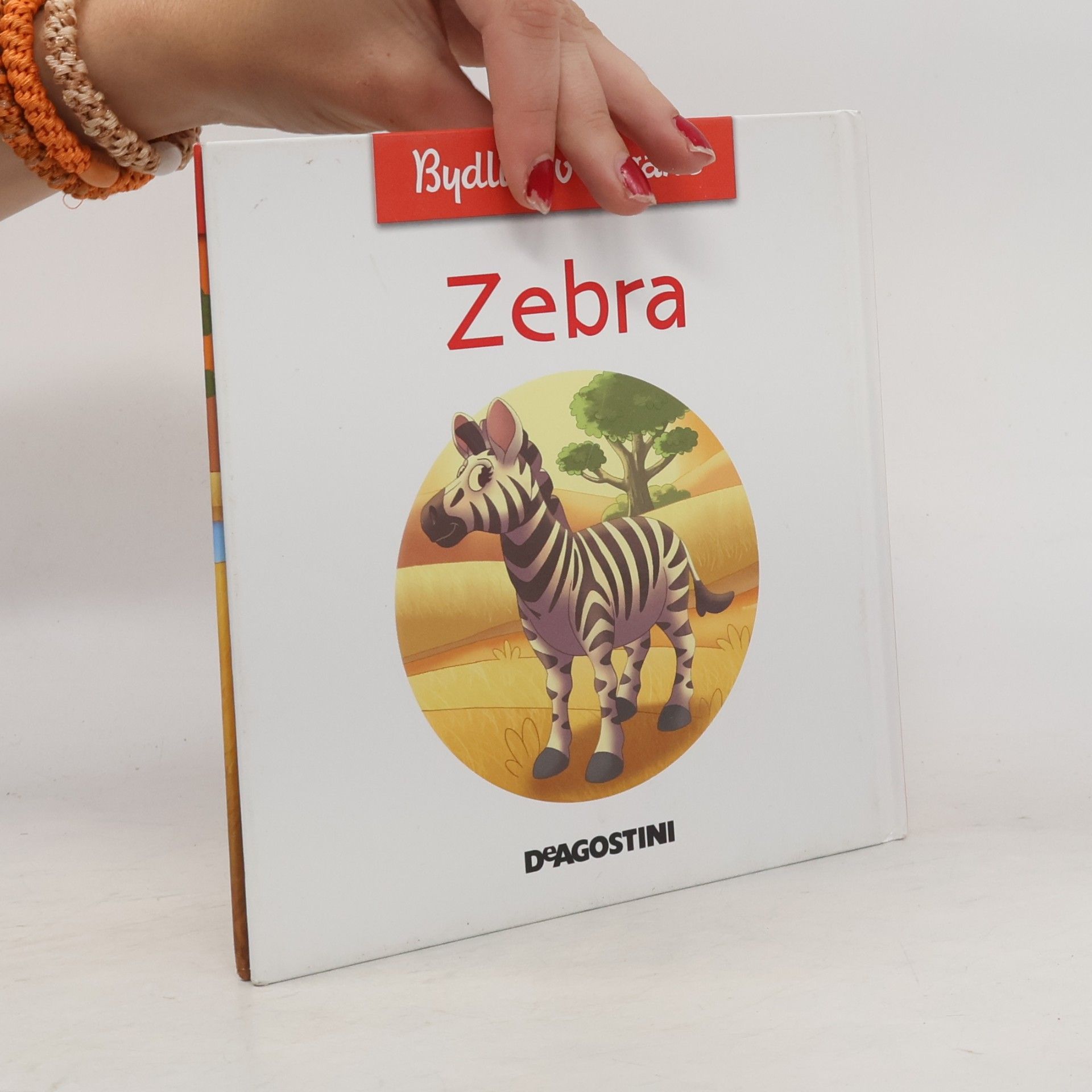 Kolektiv autorů Bydlím v savaně 5. Zebra