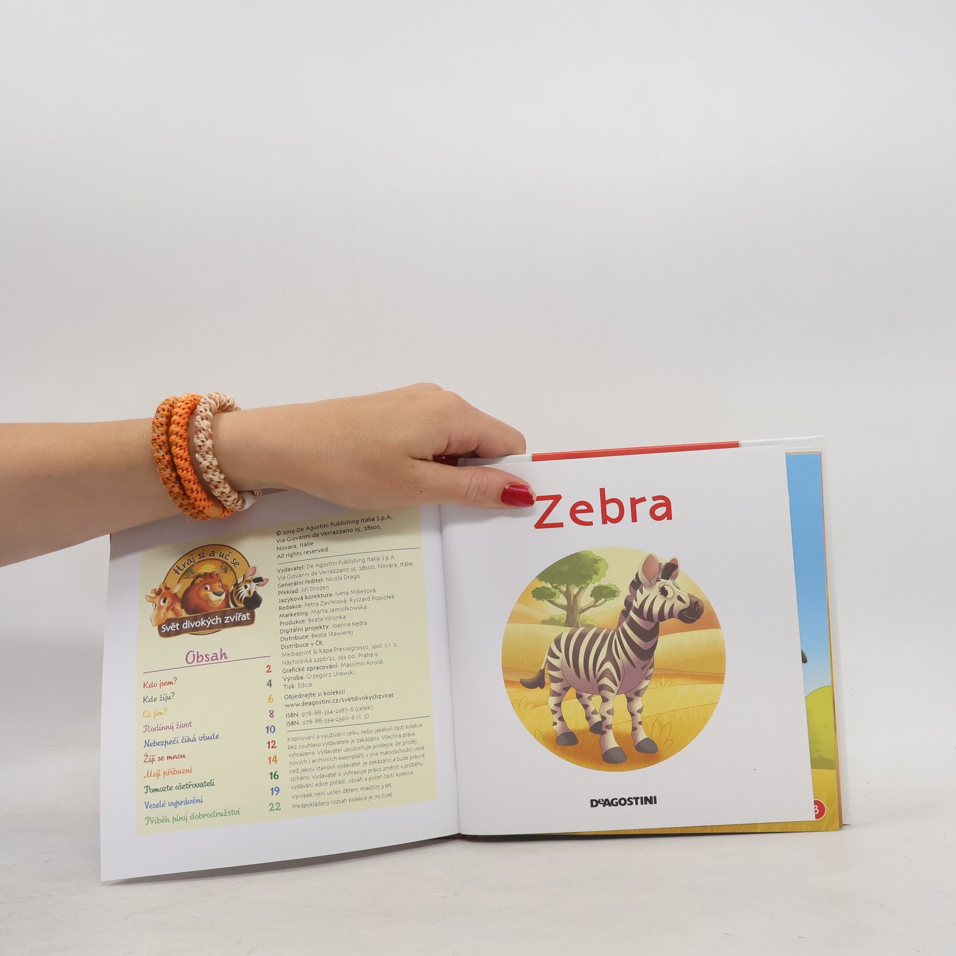 Kolektiv autorů Bydlím v savaně 5. Zebra