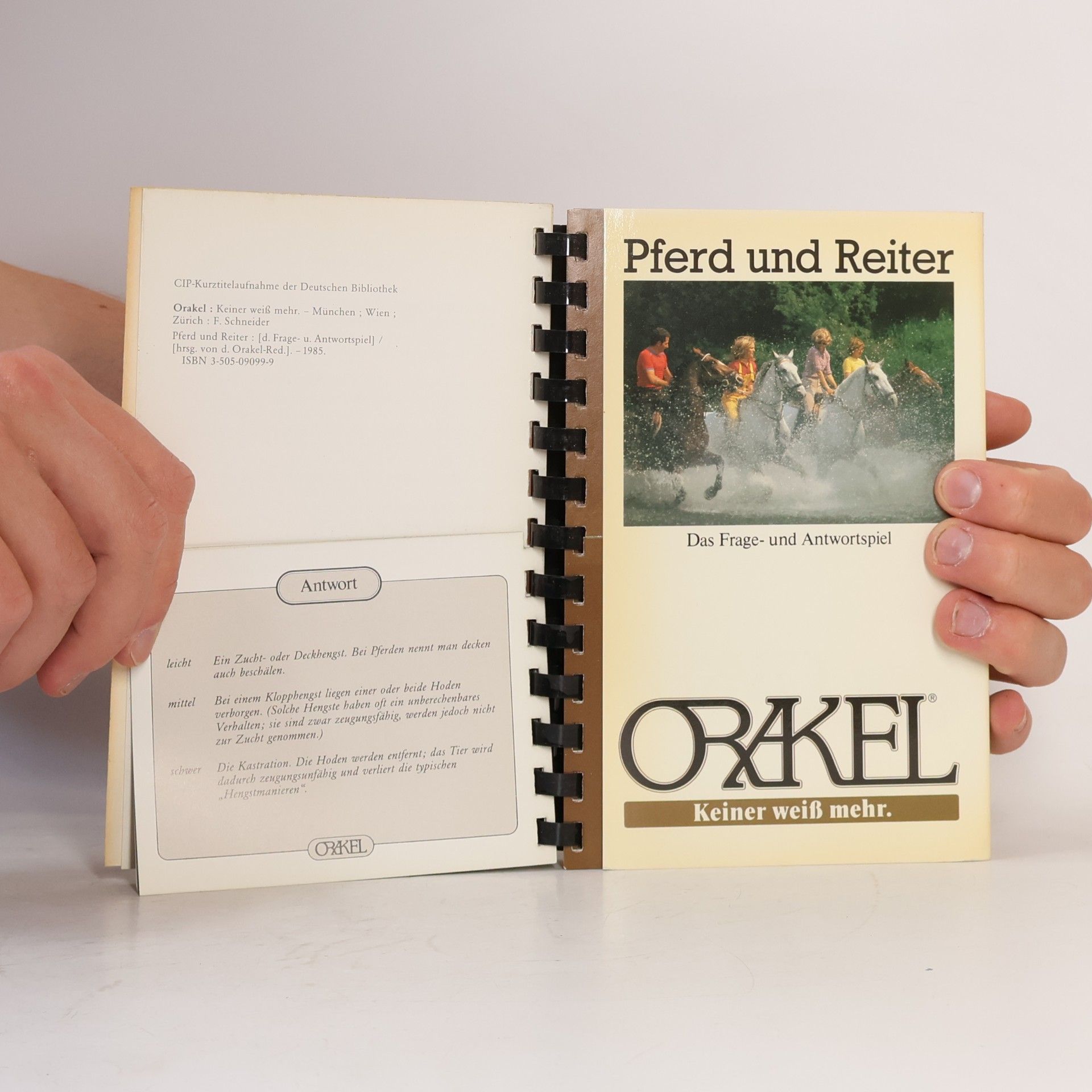Orakel. Pferd und Reiter.