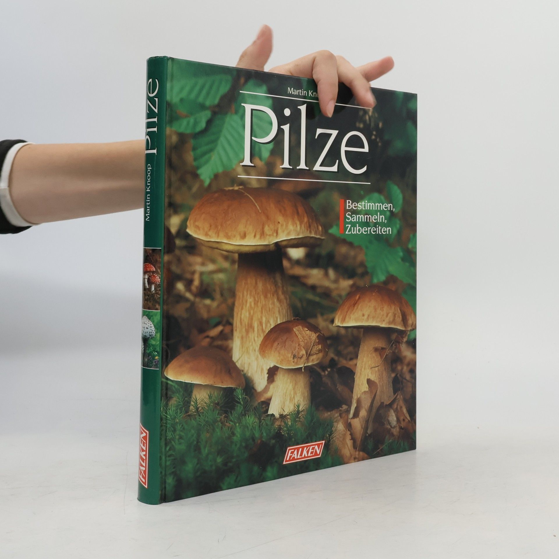 Martin Knoop Pilze