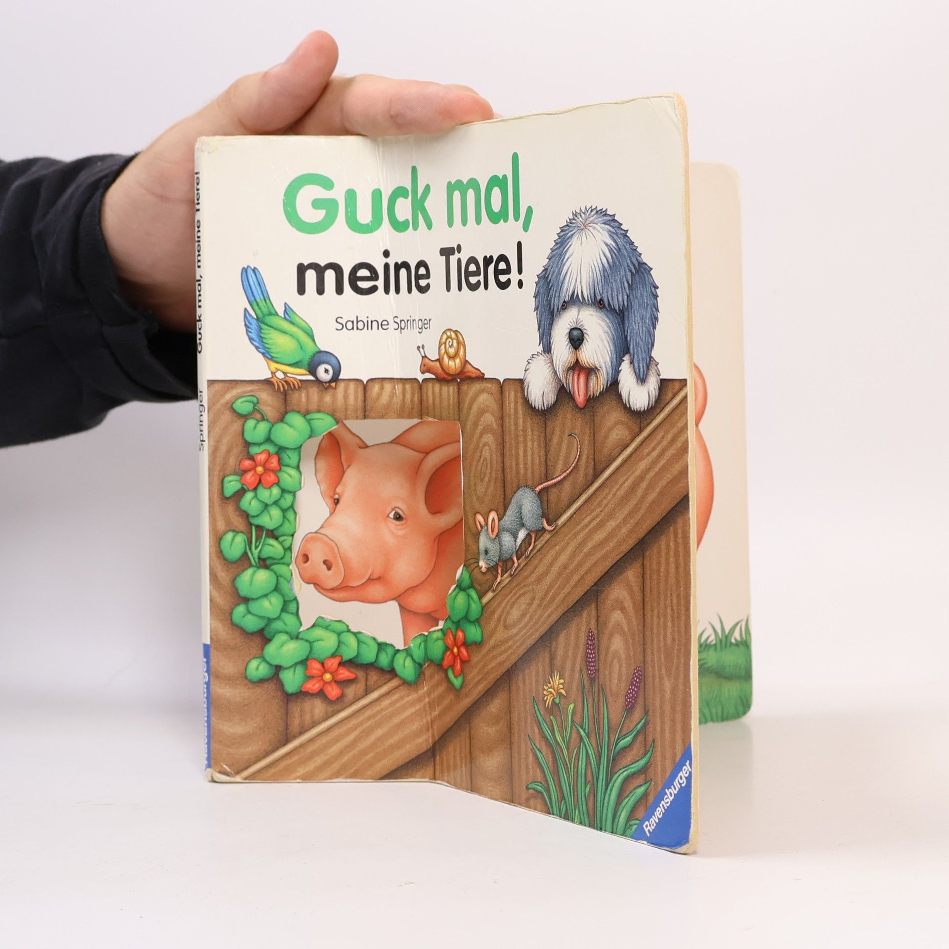 Sabine Springer Guck mal, meine Tiere! Bilderbuch mit Titelstanzung. Mit neuer Rechtschreibung