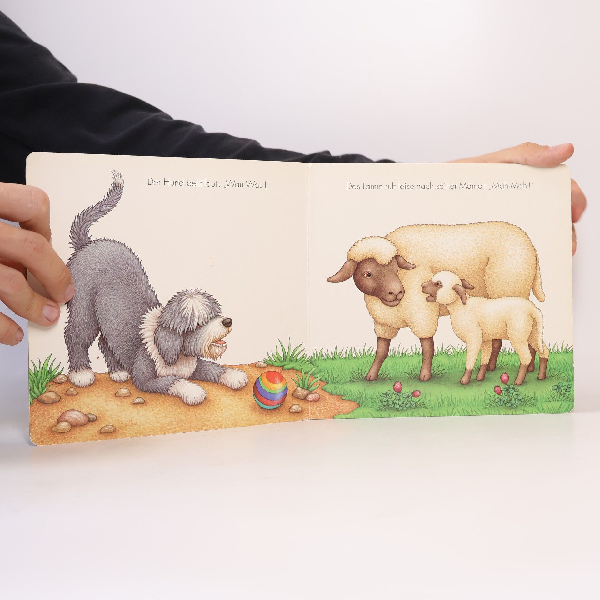 Sabine Springer Guck mal, meine Tiere! Bilderbuch mit Titelstanzung. Mit neuer Rechtschreibung