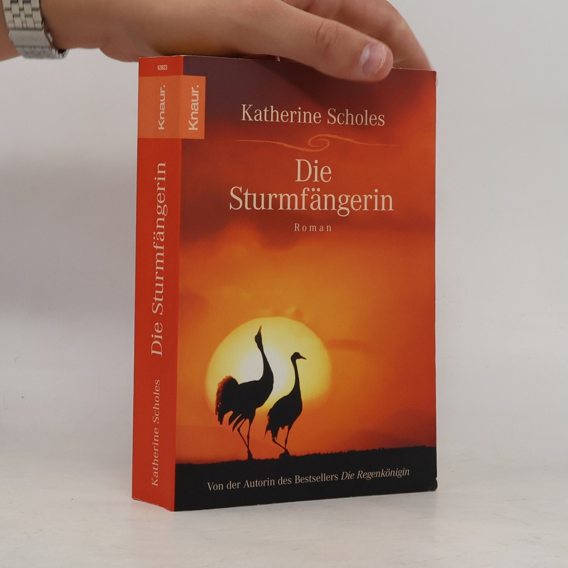 Katherine Scholes Die Sturmfängerin