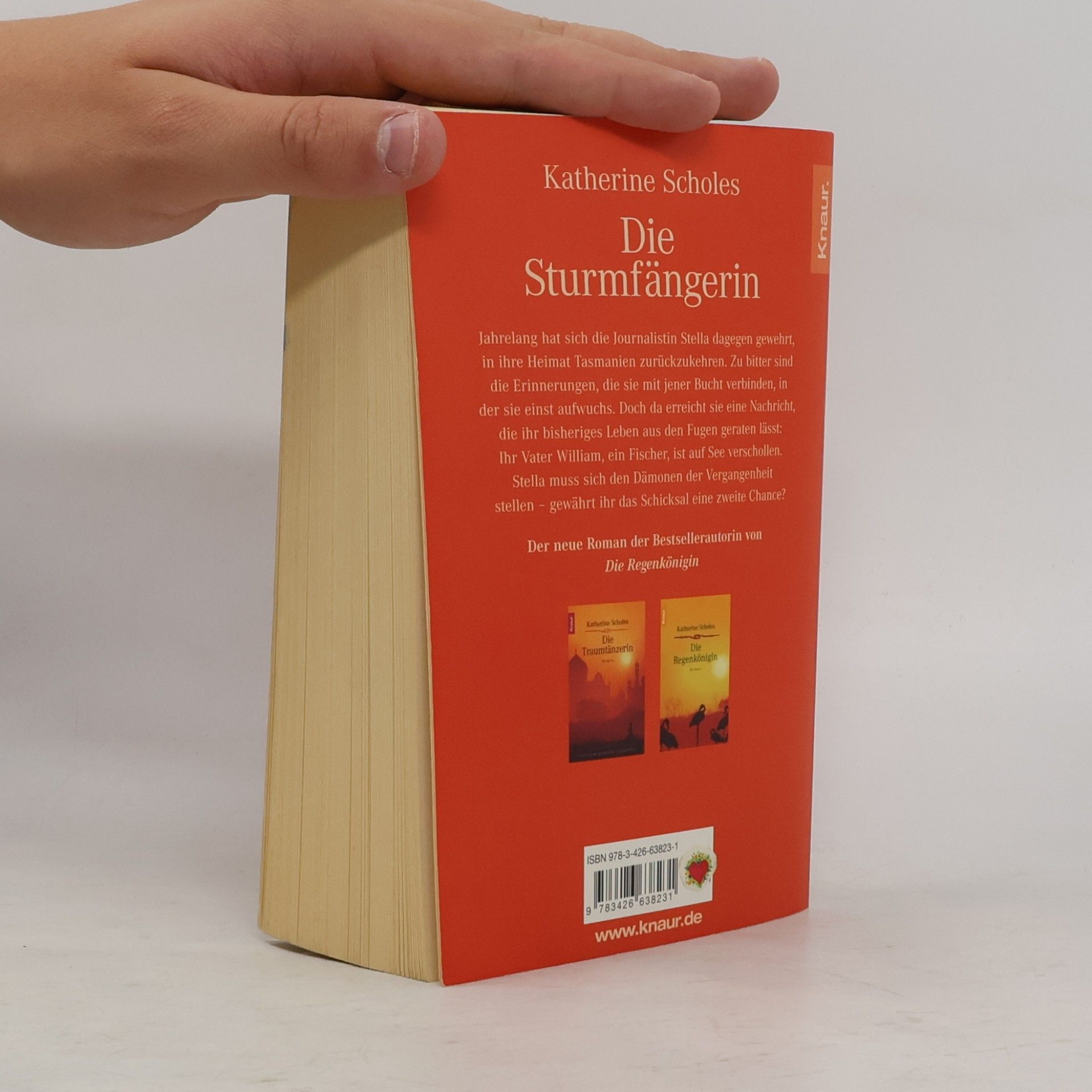 Katherine Scholes Die Sturmfängerin