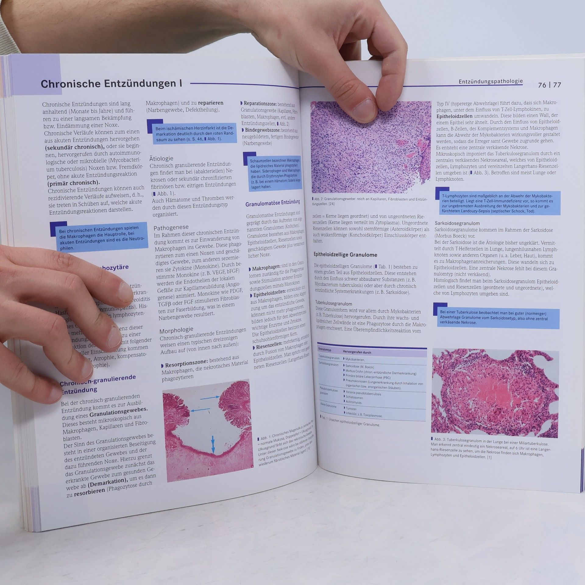 Simon Nennstiel Basics allgemeine Pathologie