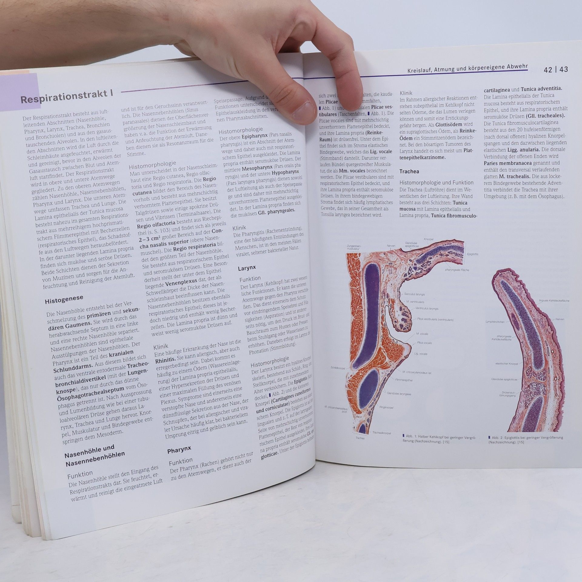 Henrik Holtmann Basics Histologie