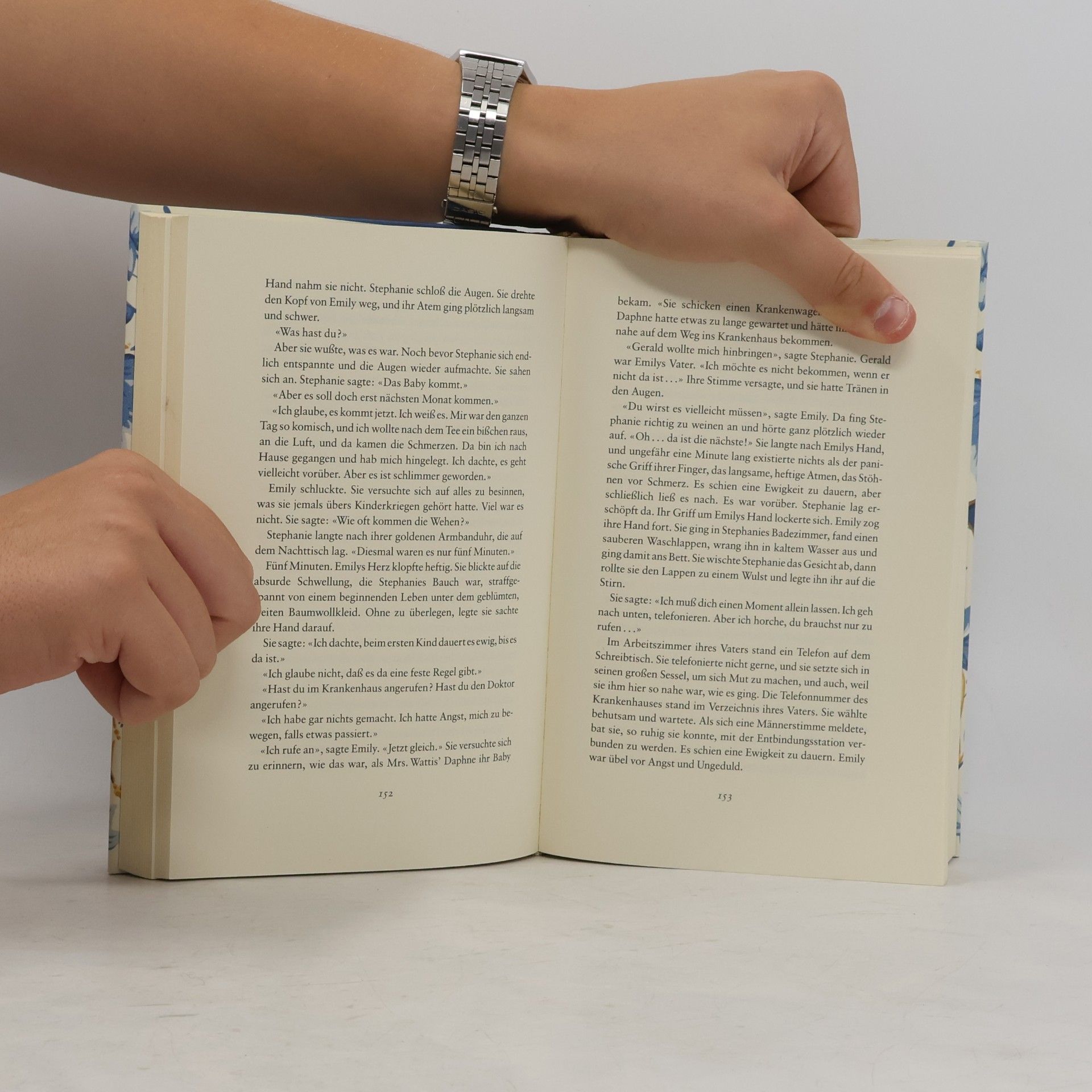 Rosamunde Pilcher Das blaue Zimmer