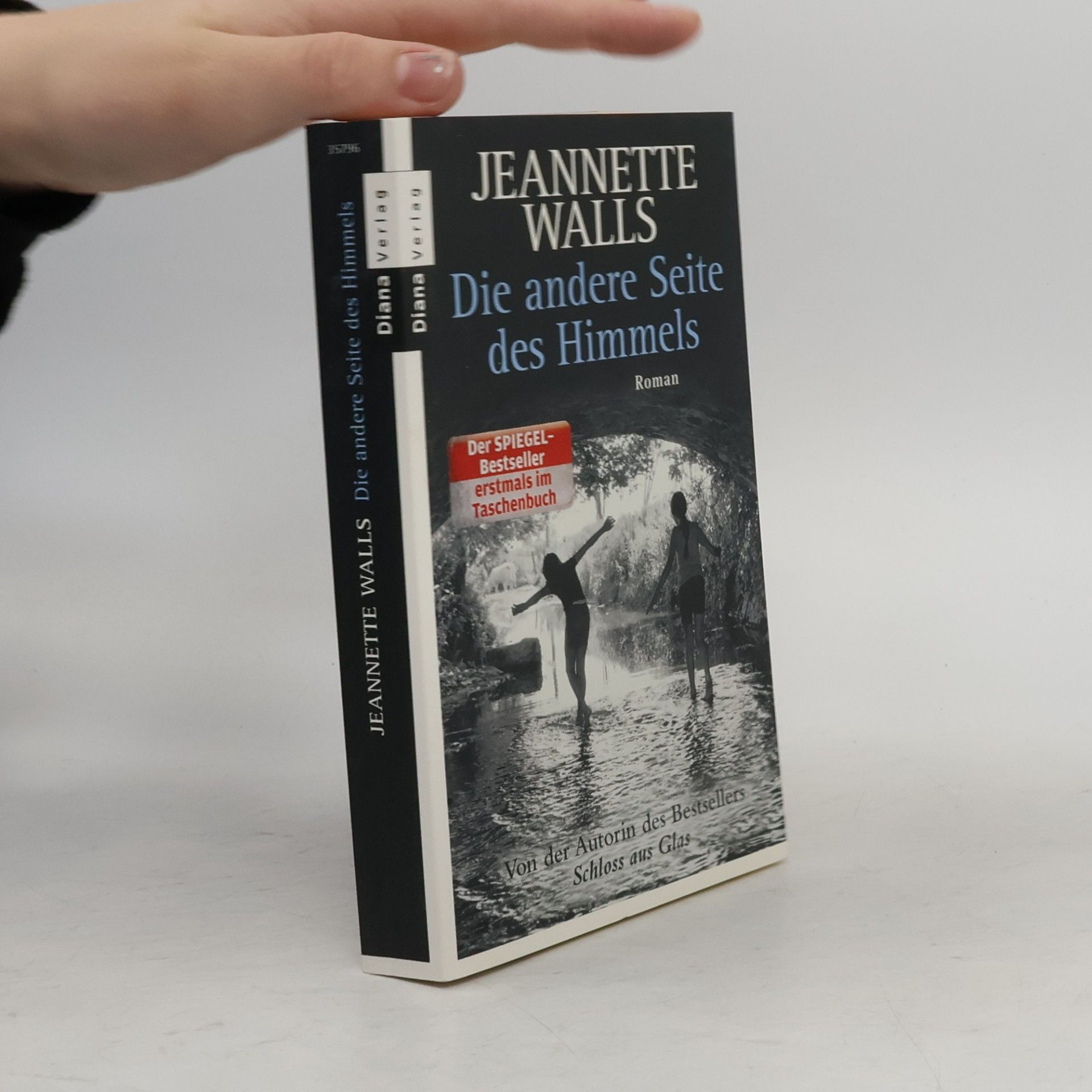 Jeannette Walls Die andere Seite des Himmels