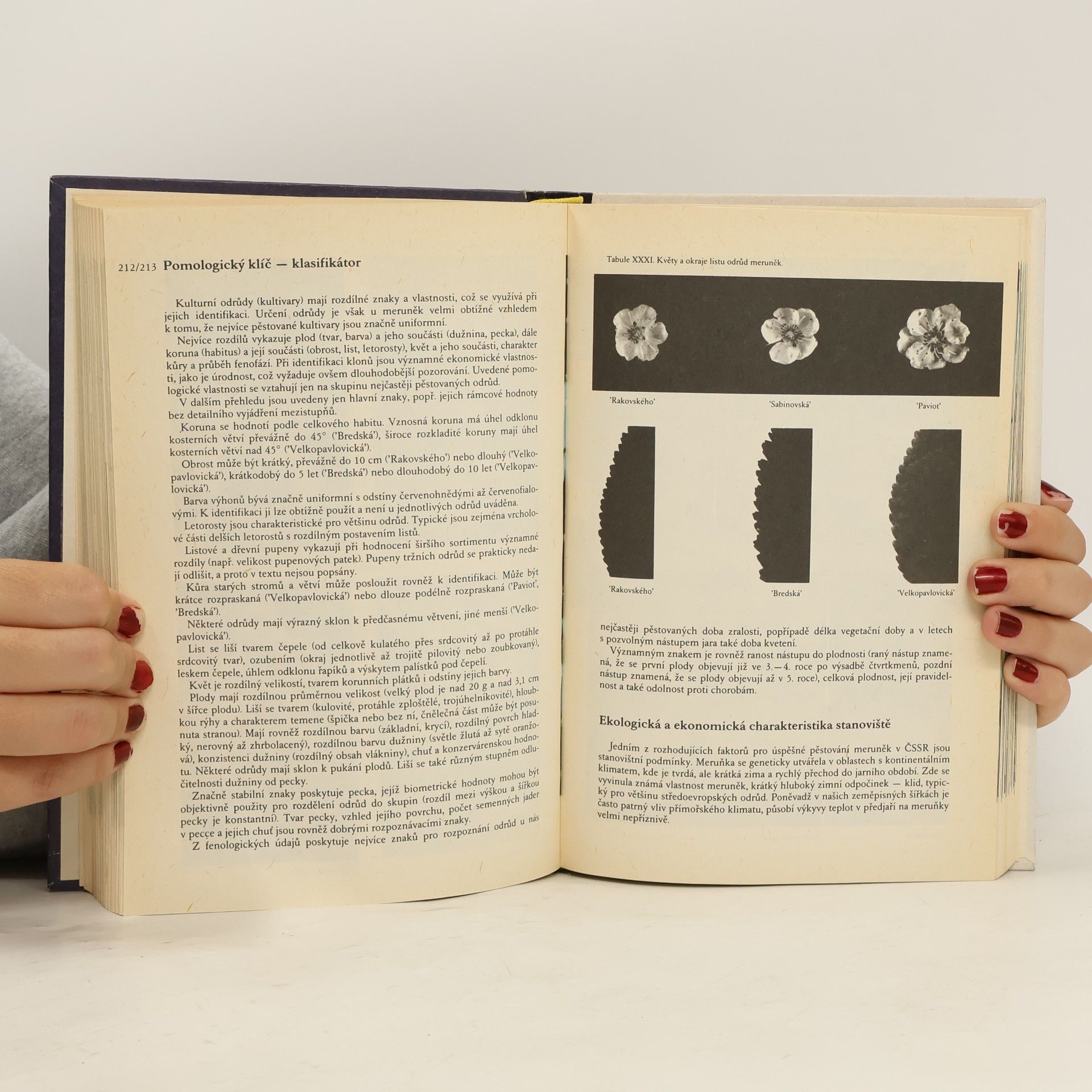 Antonín Dvořák Atlas odrůd ovoce