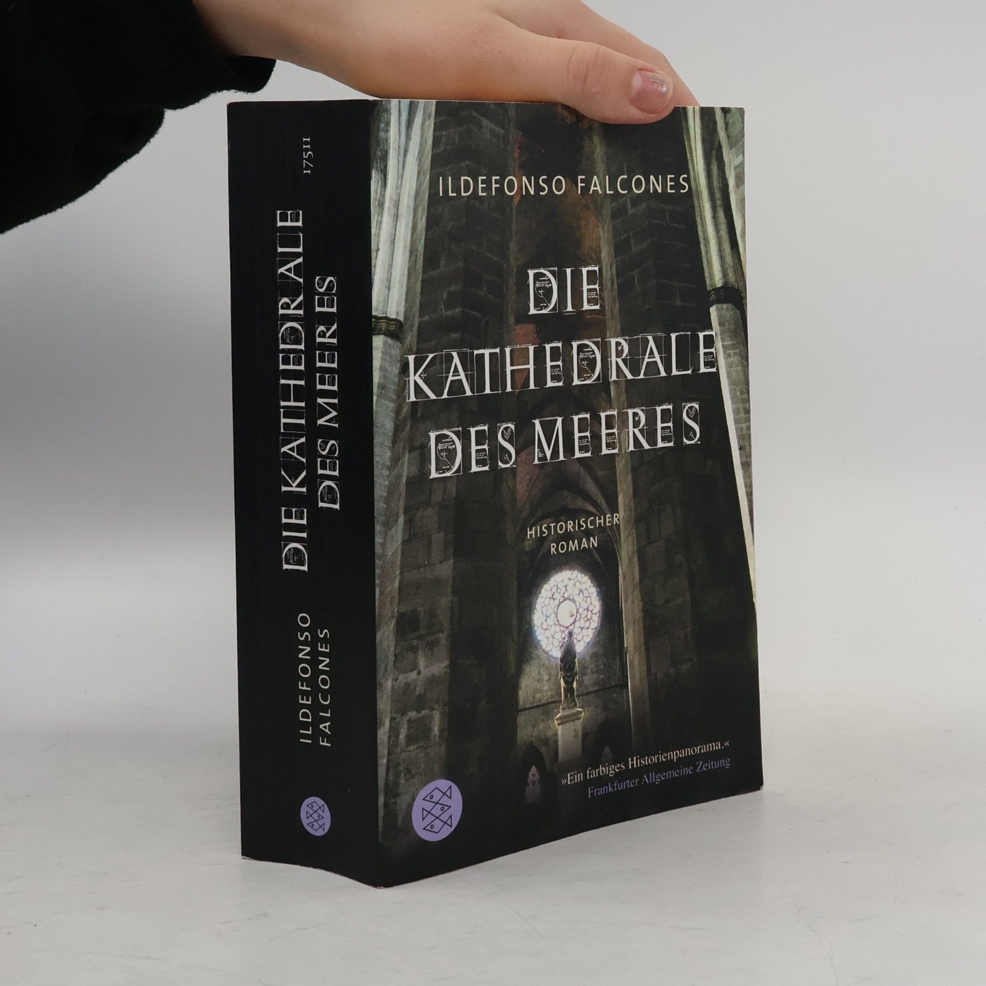 Ildefonso Falcones Die Kathedrale des Meeres