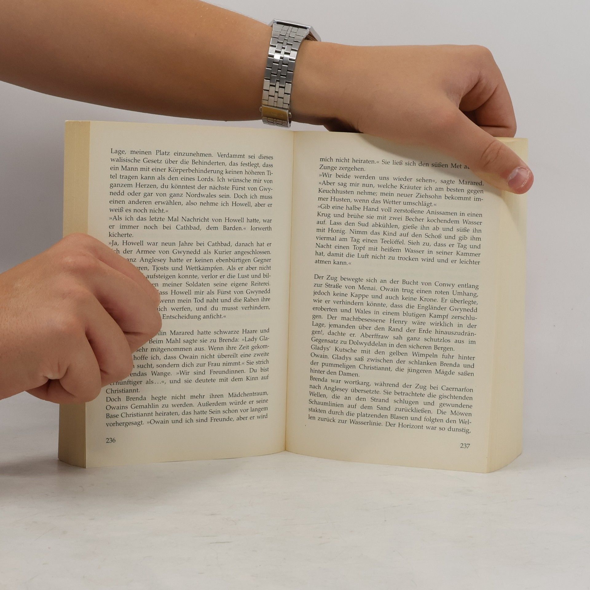 Anna Lee Waldo Ring der Steine. Sonderausgabe