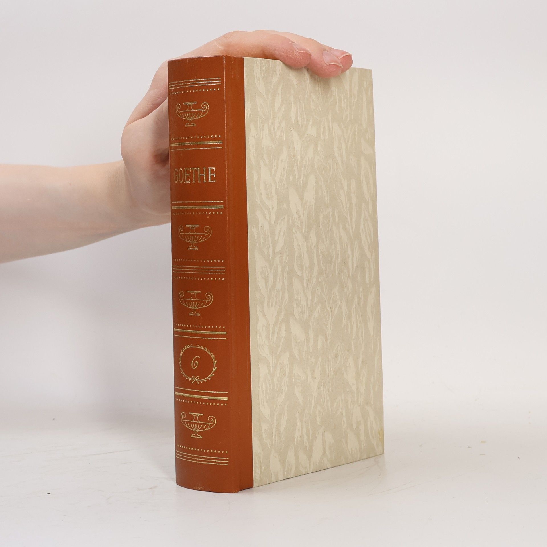 Johann Wolfgang von Goethe Aus meinem Leben. Dichtung und Wahrheit