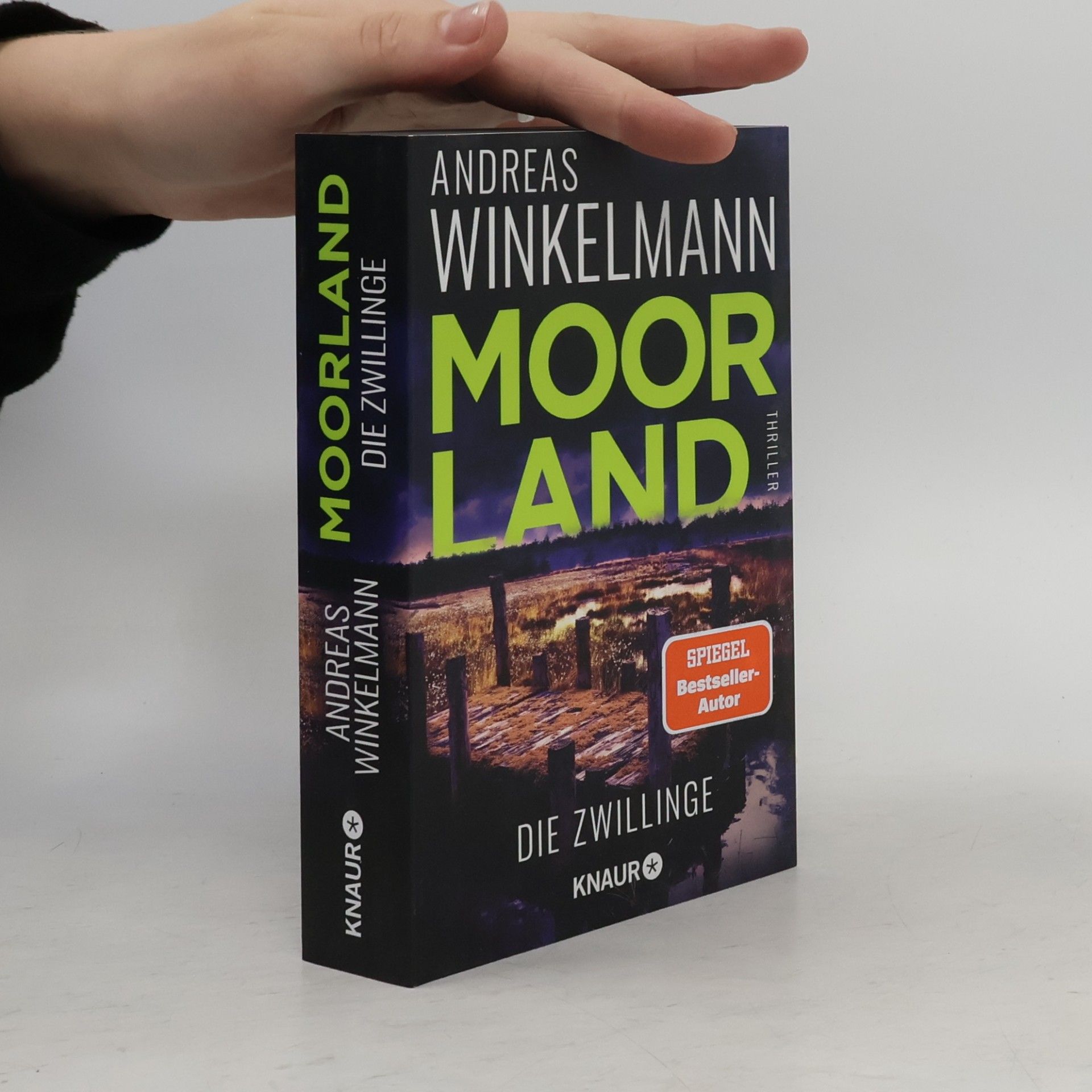 Hendrik Winter Moorland. Die Zwillinge