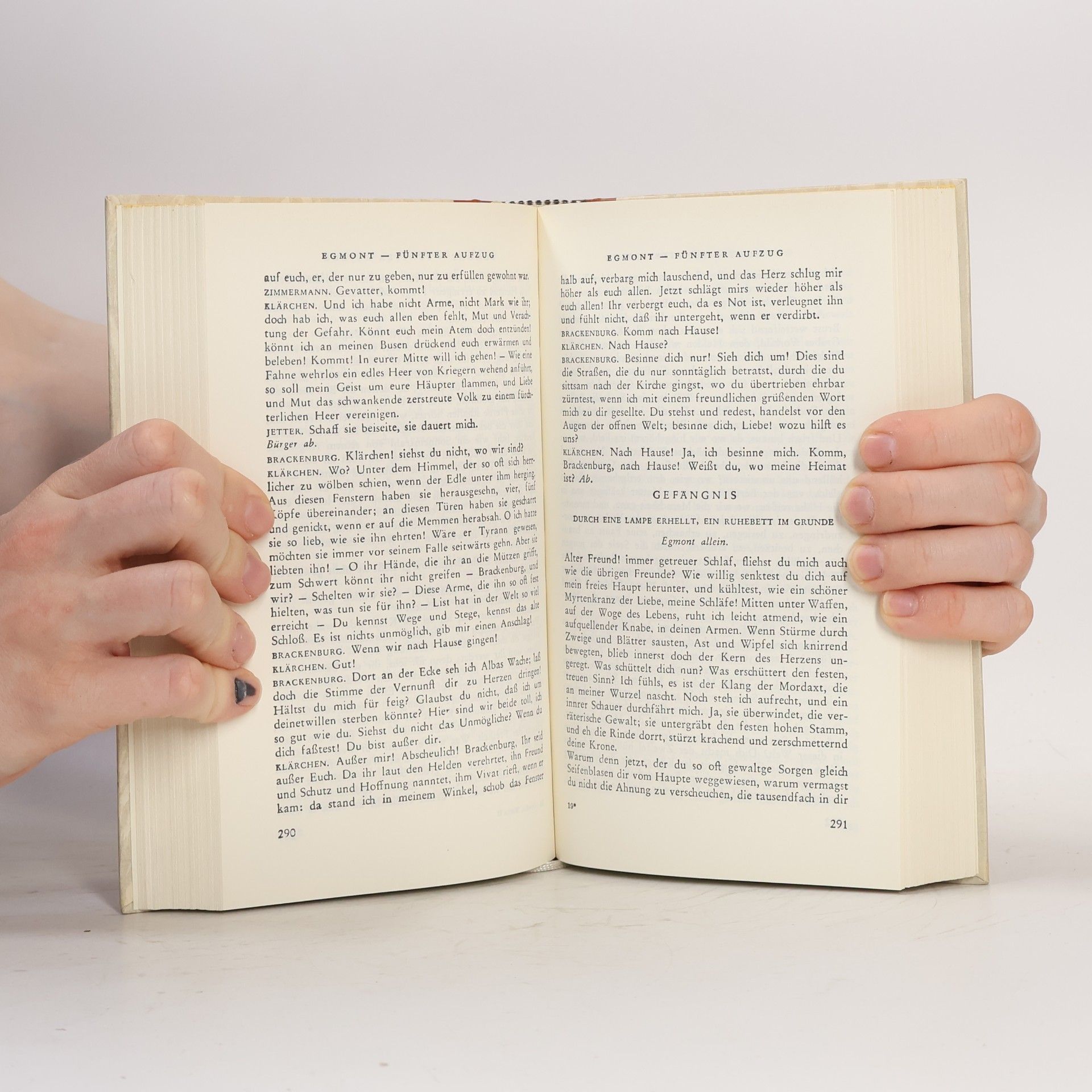Johann Wolfgang von Goethe Goethe 2