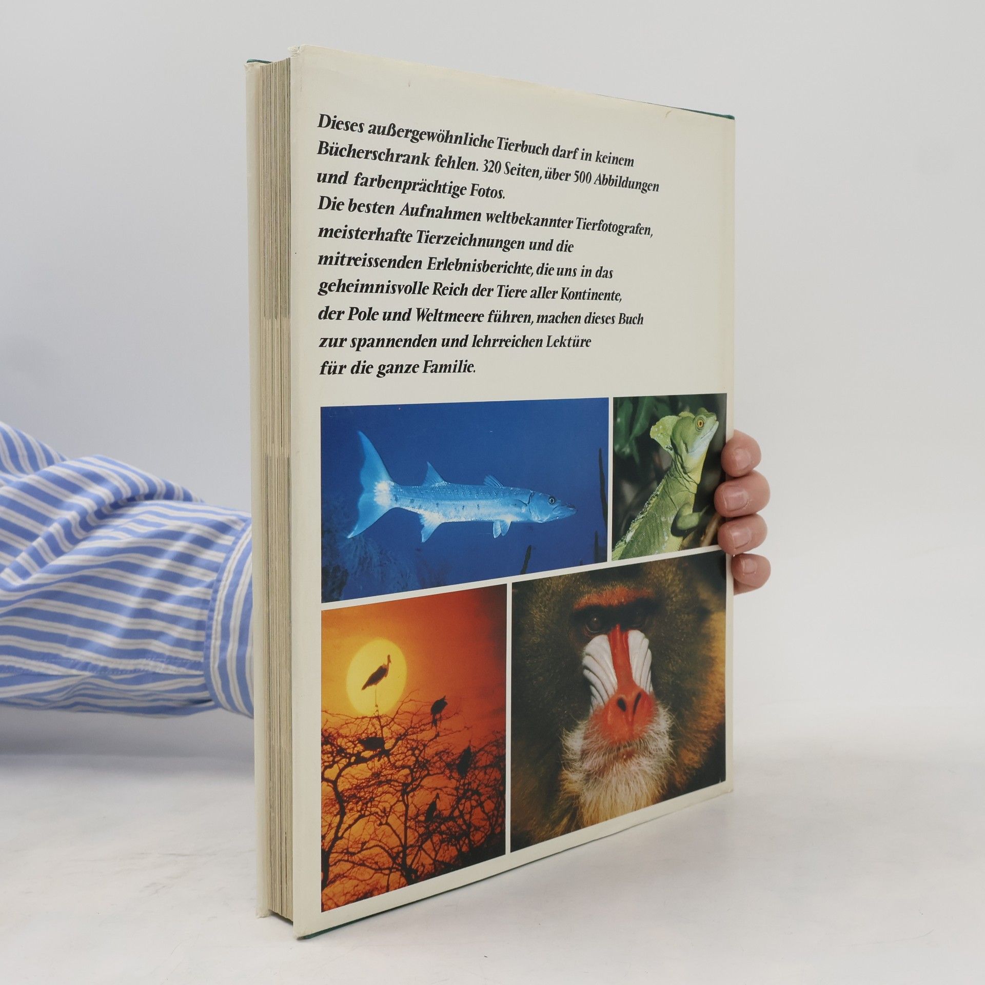 Gunter Steinbach Wunderwelt der Tiere. Geheimnis und Abenteuer