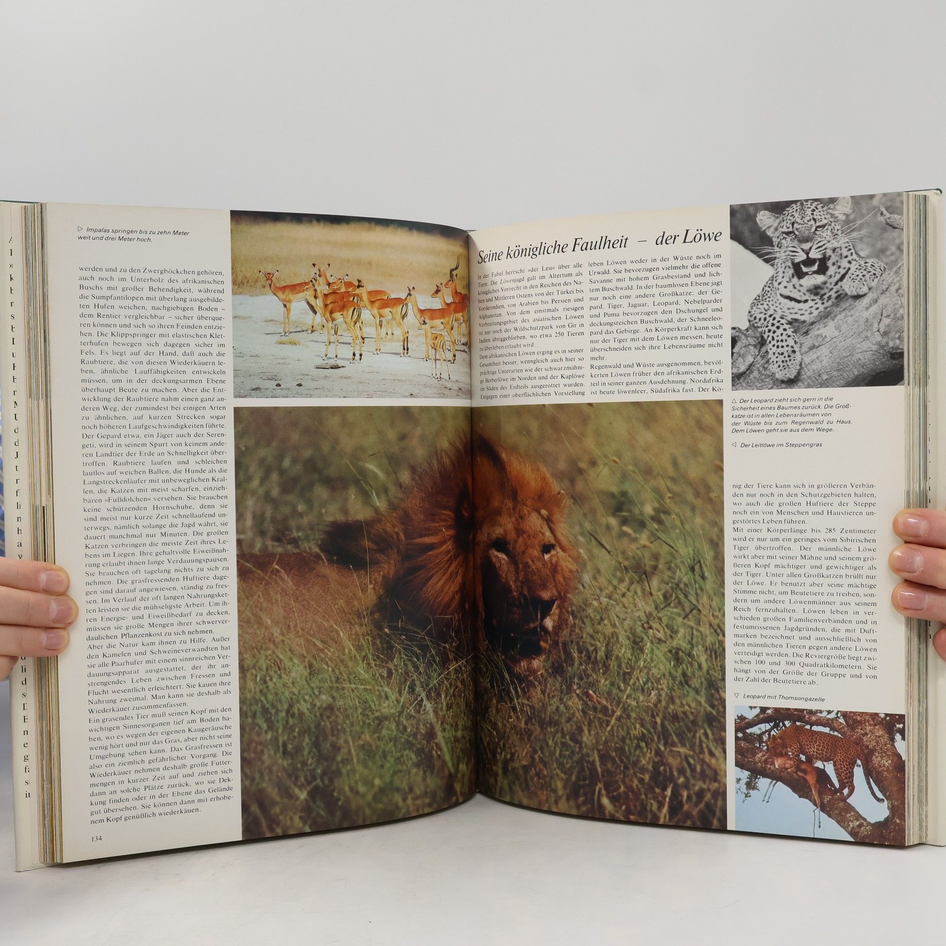 Gunter Steinbach Wunderwelt der Tiere. Geheimnis und Abenteuer