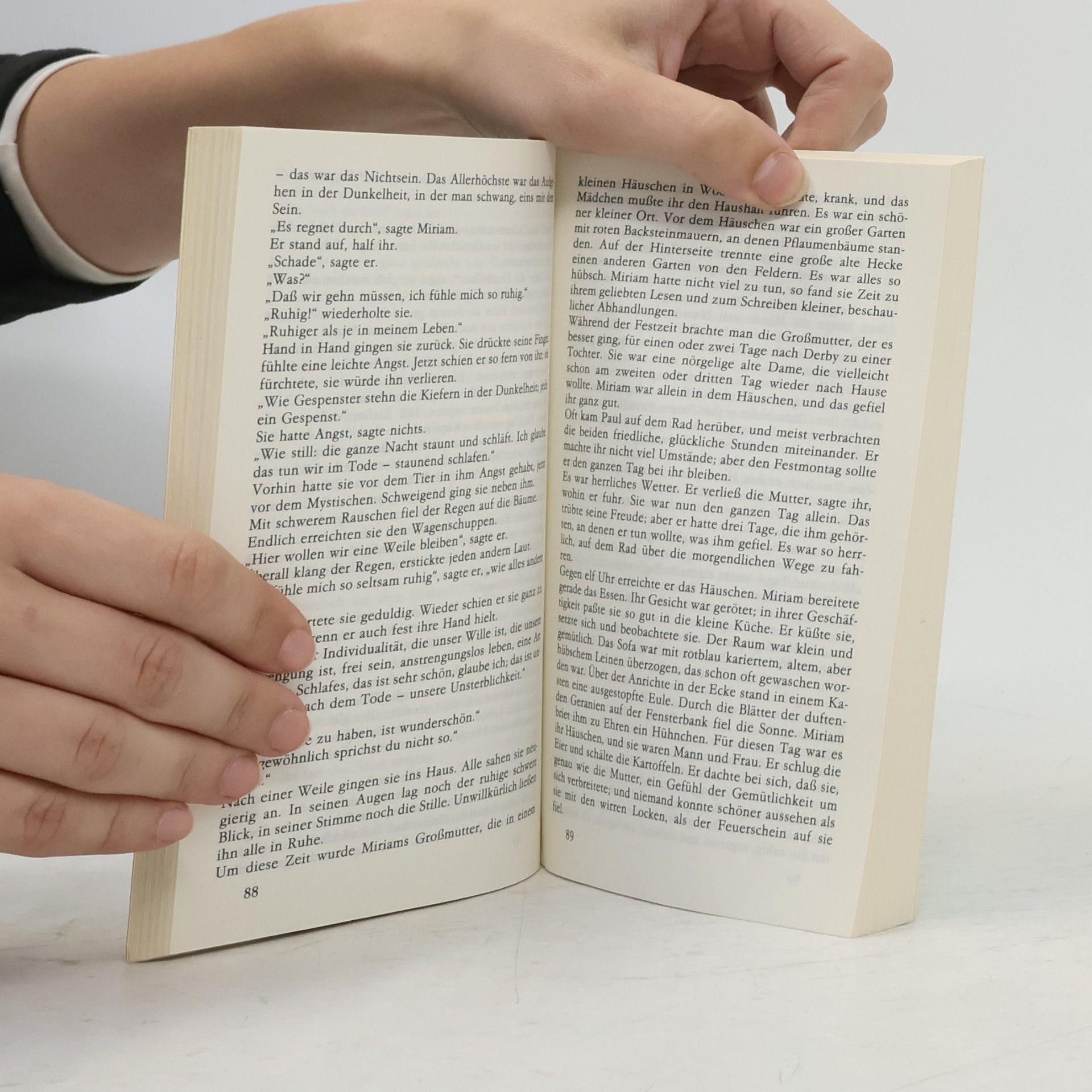 David Herbert Lawrence Söhne und Liebhaber 2