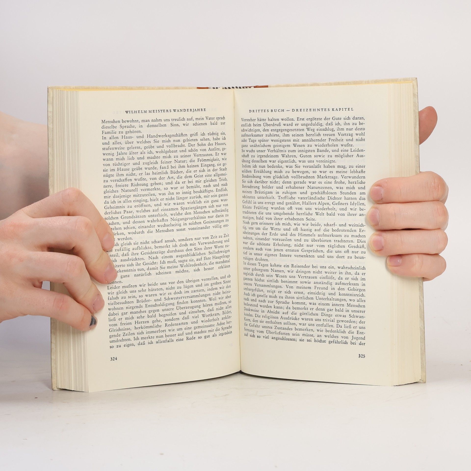 Johann Wolfgang von Goethe Wilhelm Meisters Wanderjahre oder Die Entsagenden