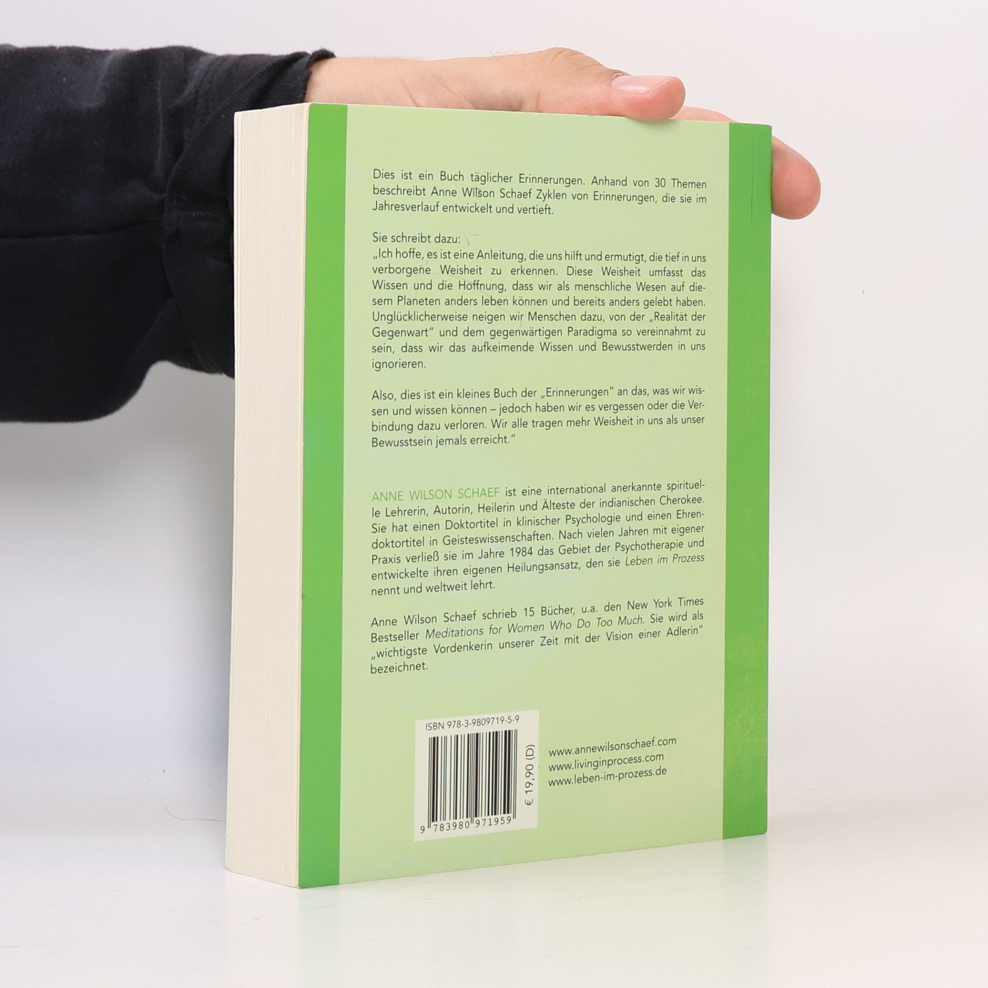Anne Wilson Schaef Ein neues Paradigma leben