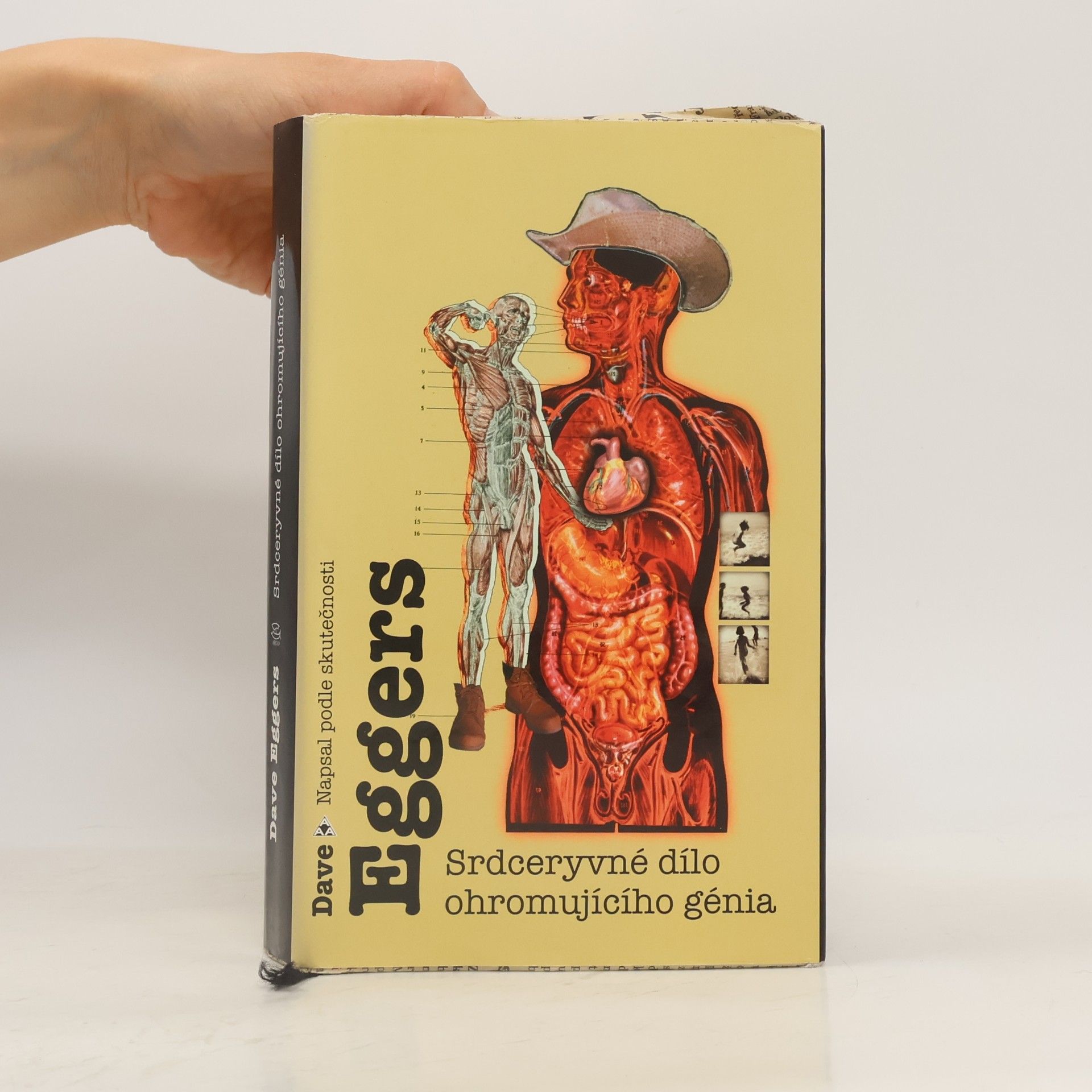 Dave Eggers Srdceryvné dílo ohromujícího génia