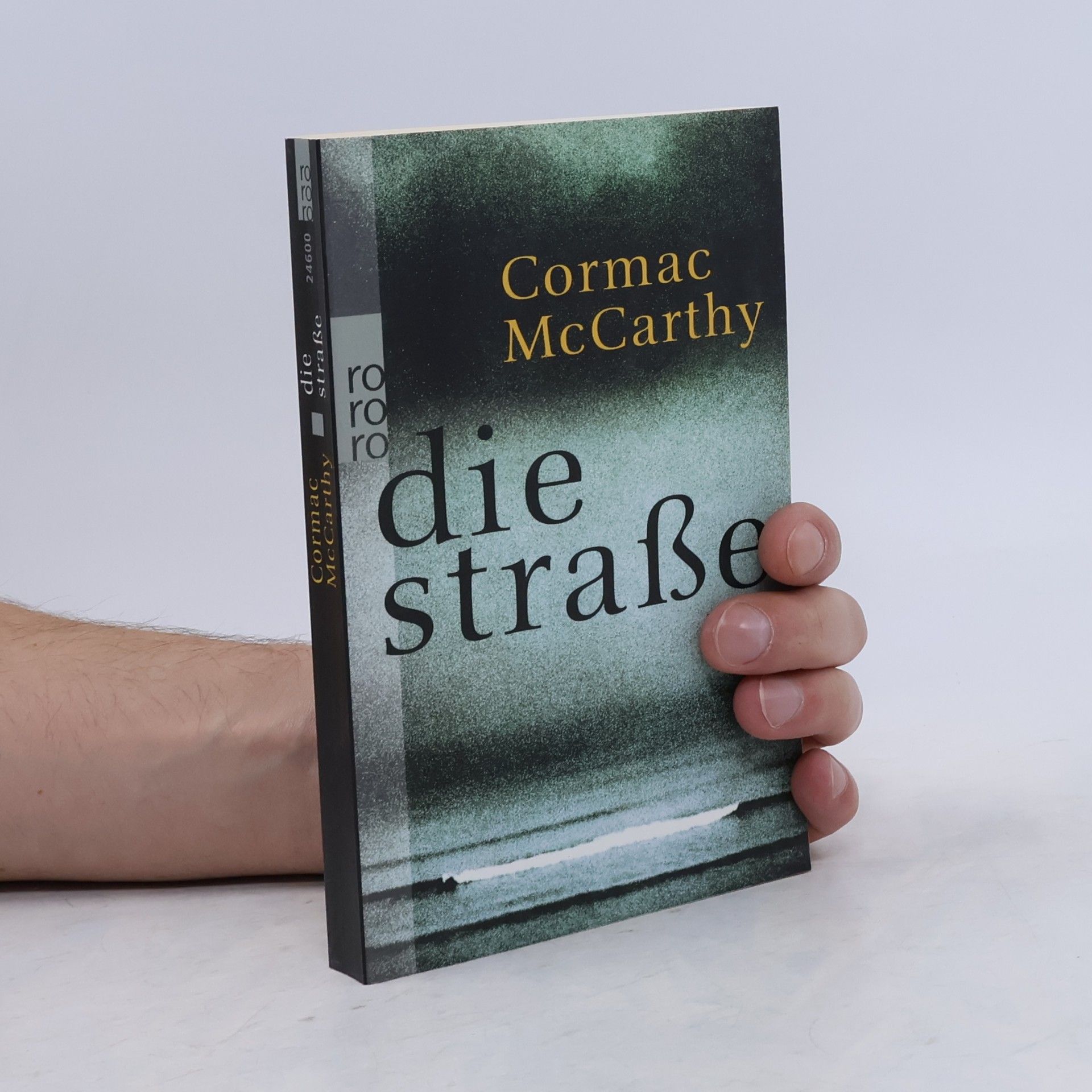Cormac McCarthy Die Straße