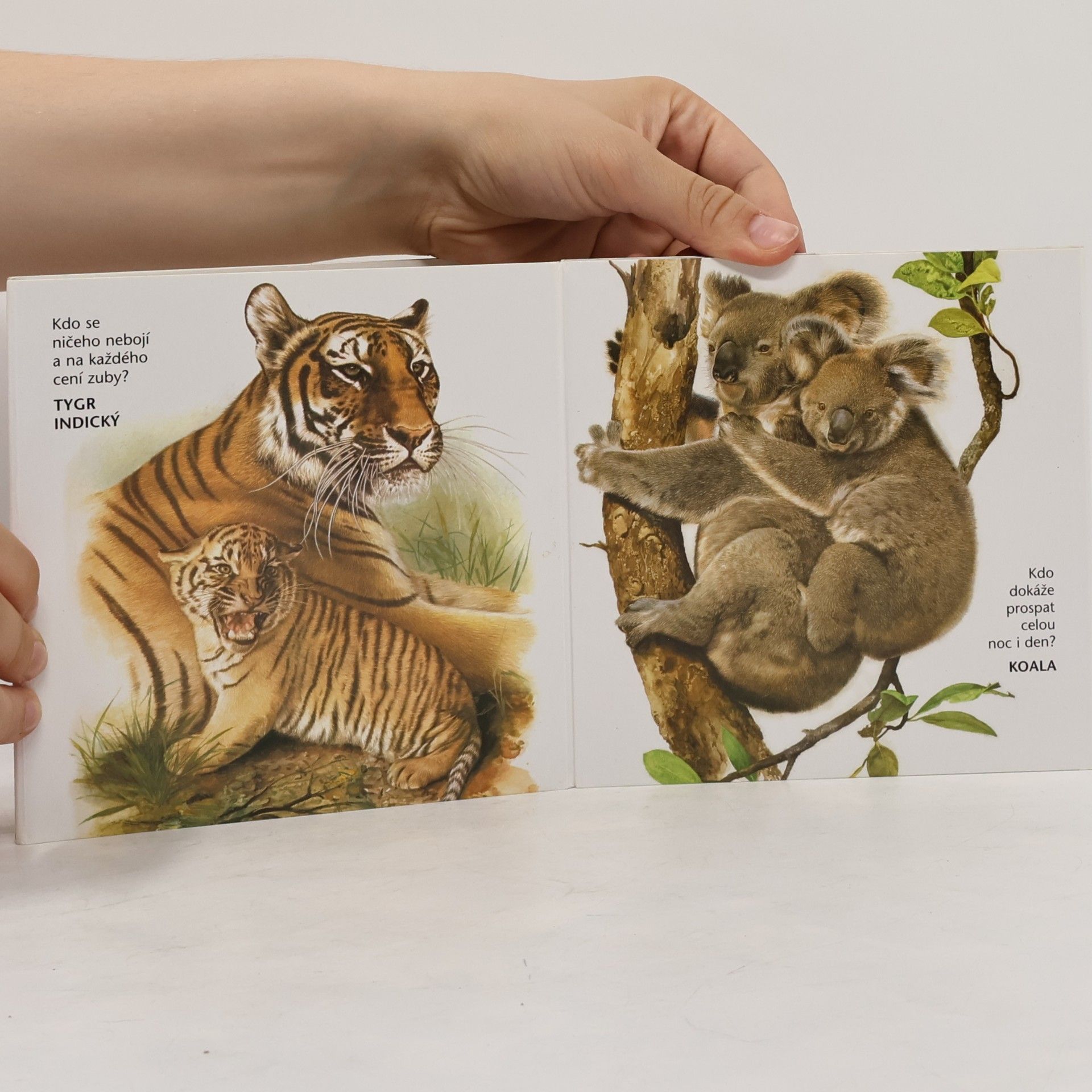 Libuše Knotková Návštěva v ZOO