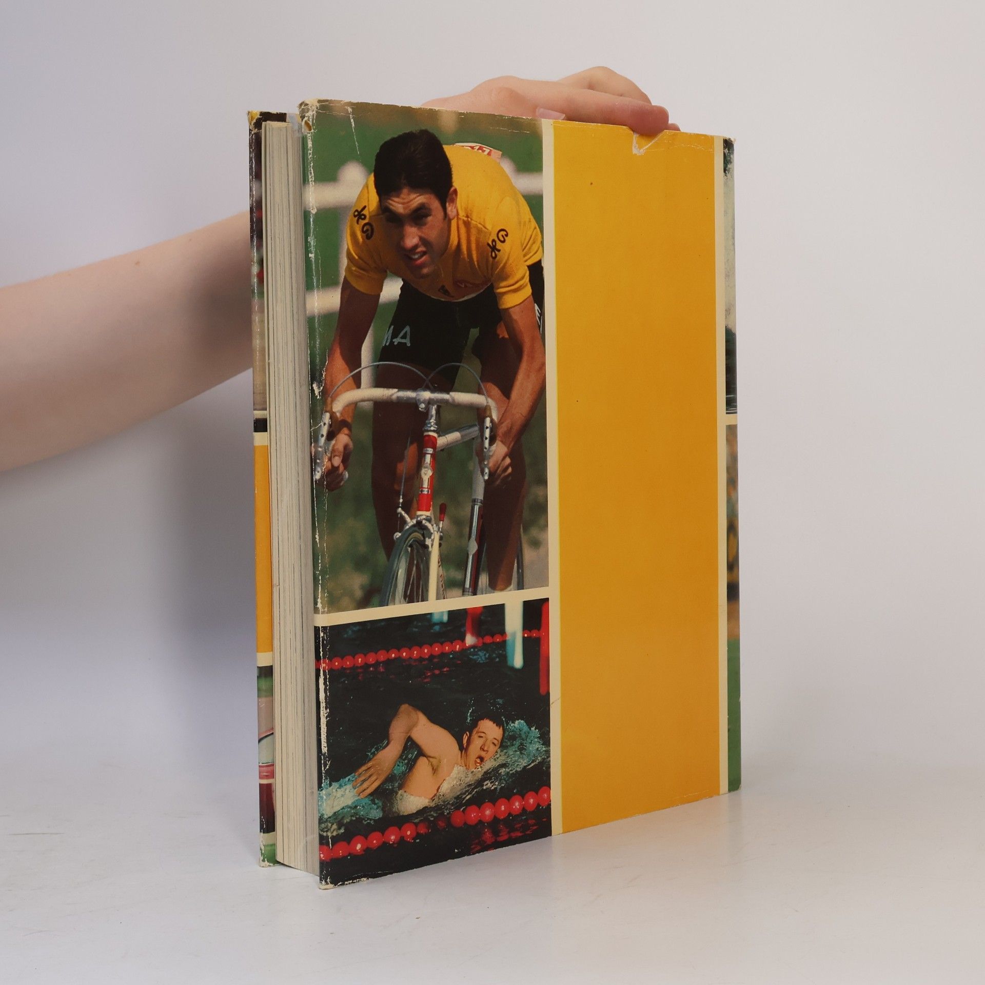 Hermann Hess Die Welt des Sports