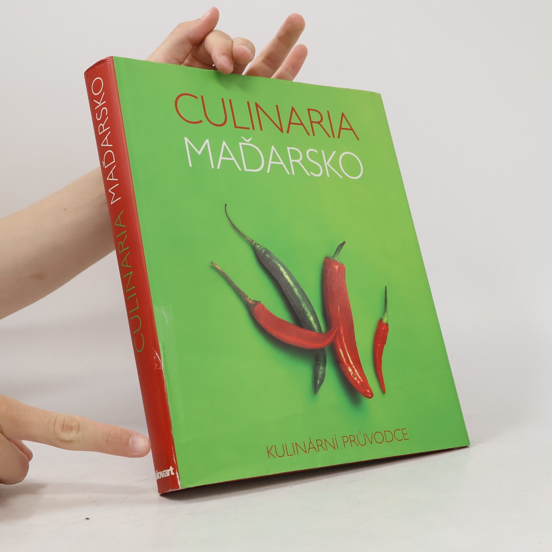 Anikó Gergely Culinaria Maďarsko