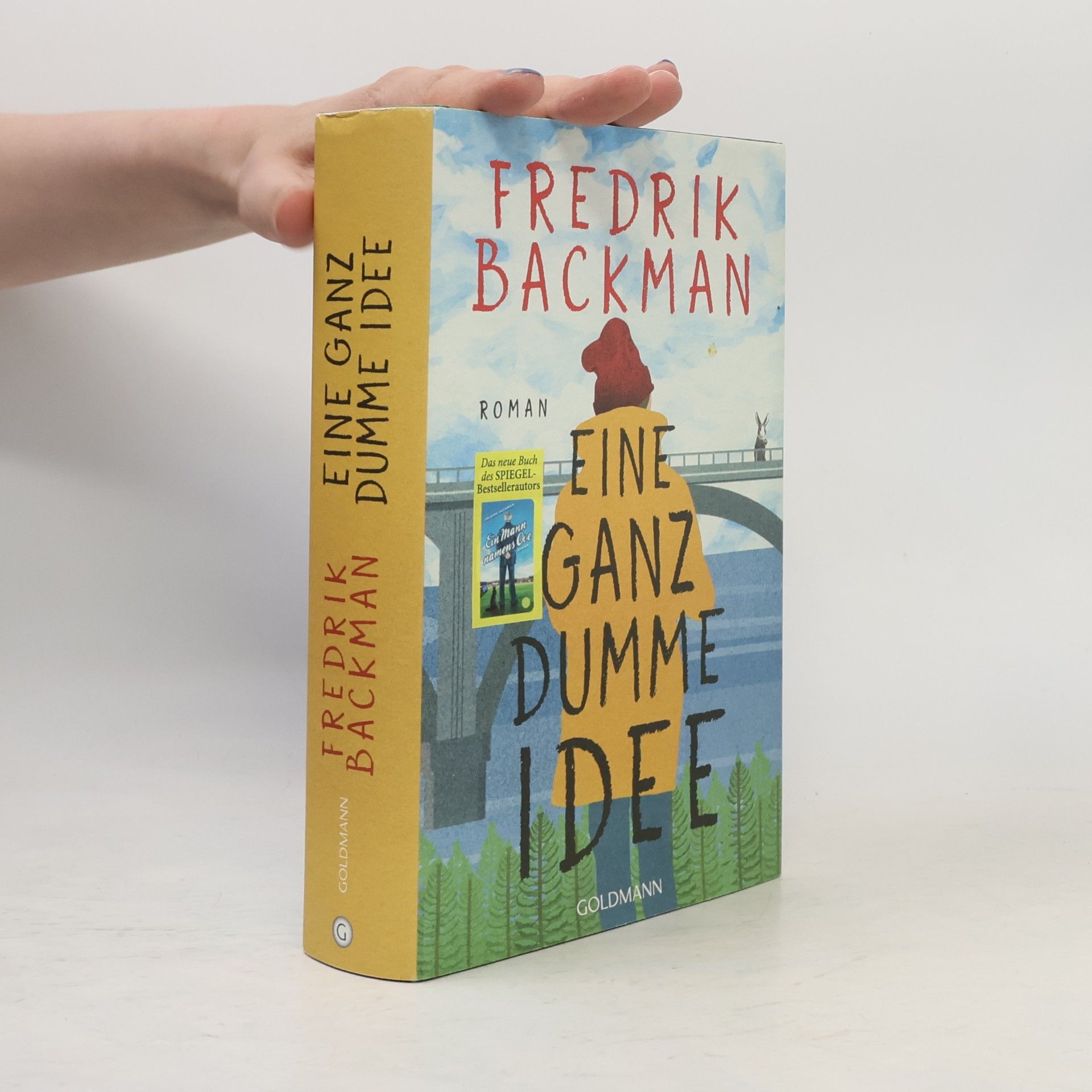 Fredrik Backman Eine Ganz dumme Idee