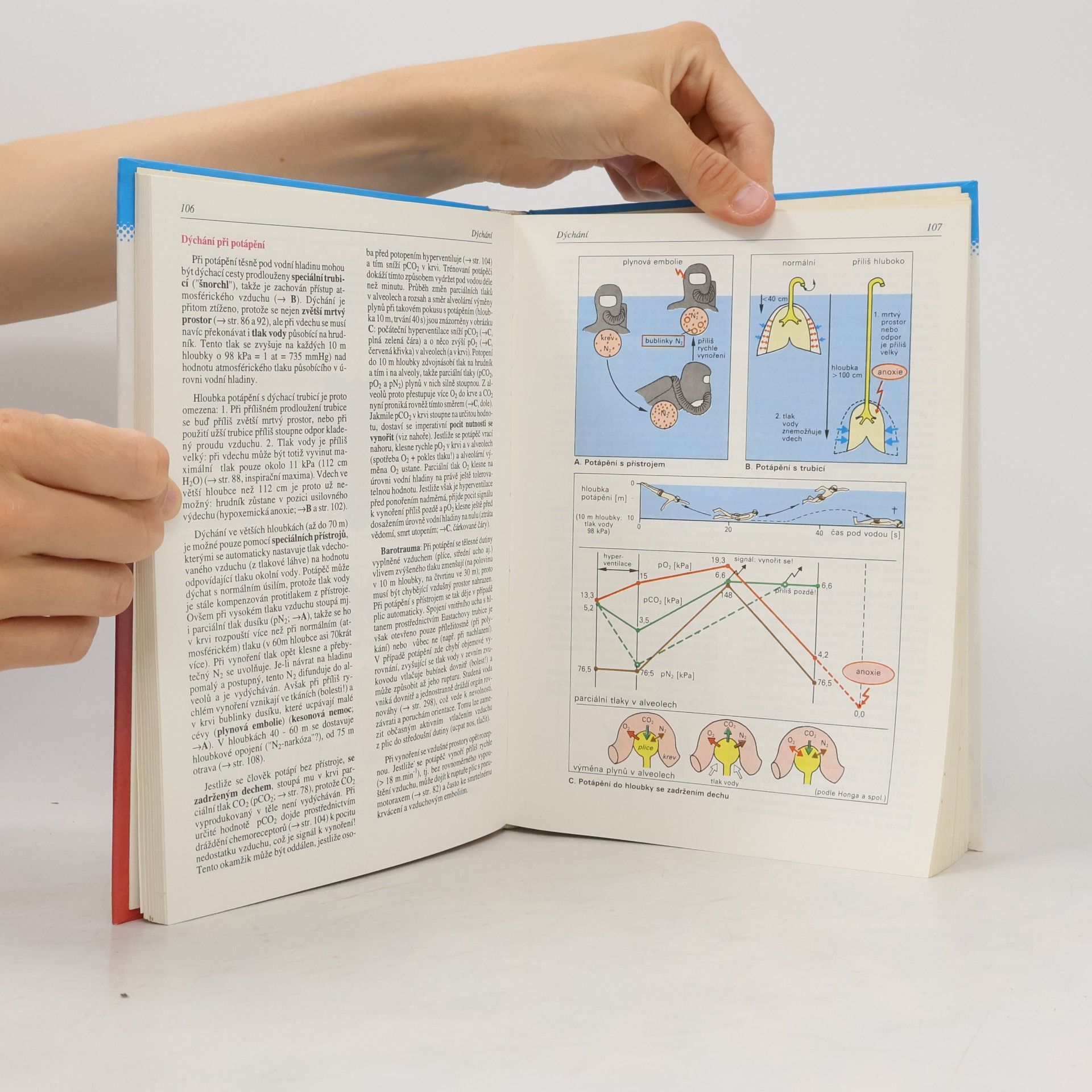 Stefan Silbernagl Atlas fyziologie člověka