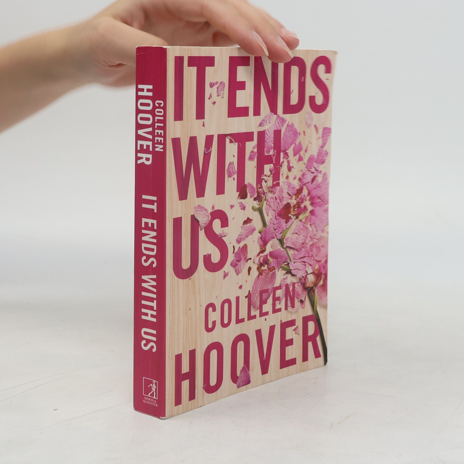 Colleen Hoover It Ends With Us