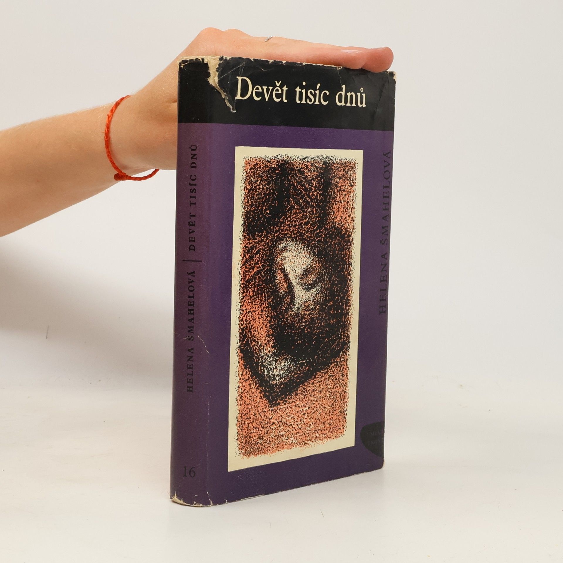 Helena Šmahelová Devět tisíc dnů