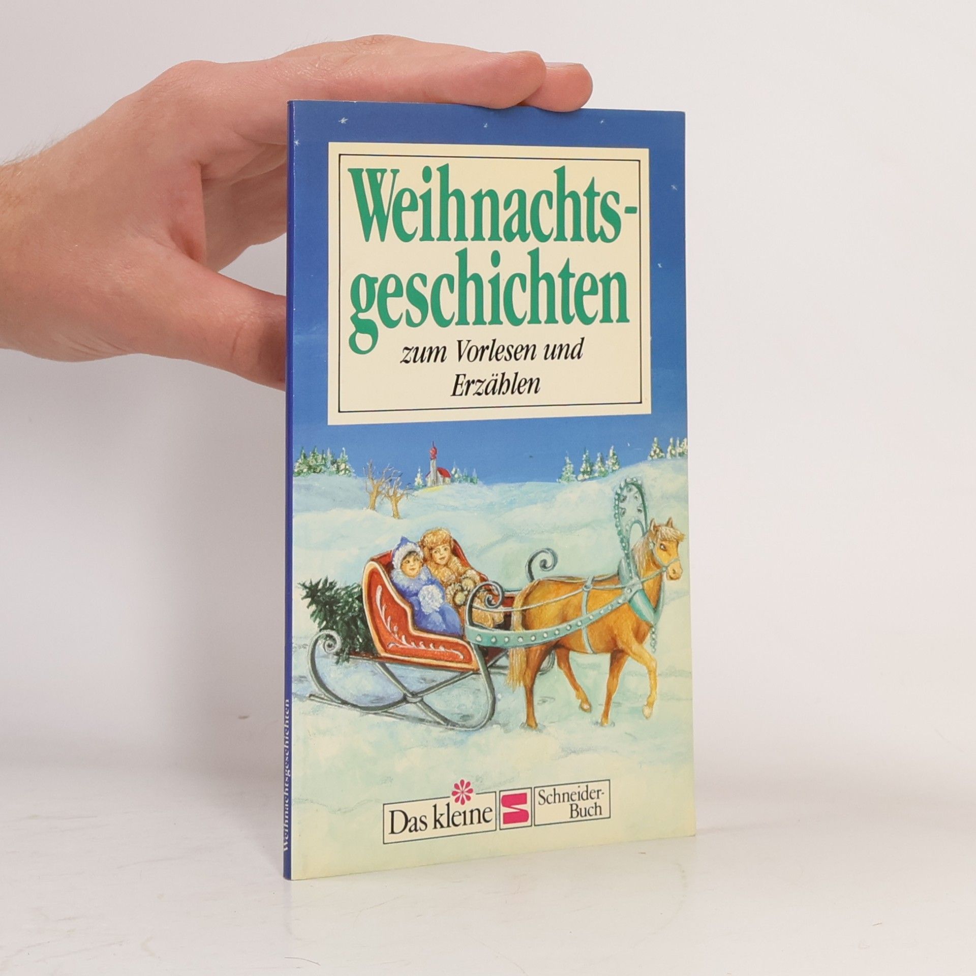 Autorenkollektiv Weihnachtsgeschichten zum Vorlesen und Erzählen