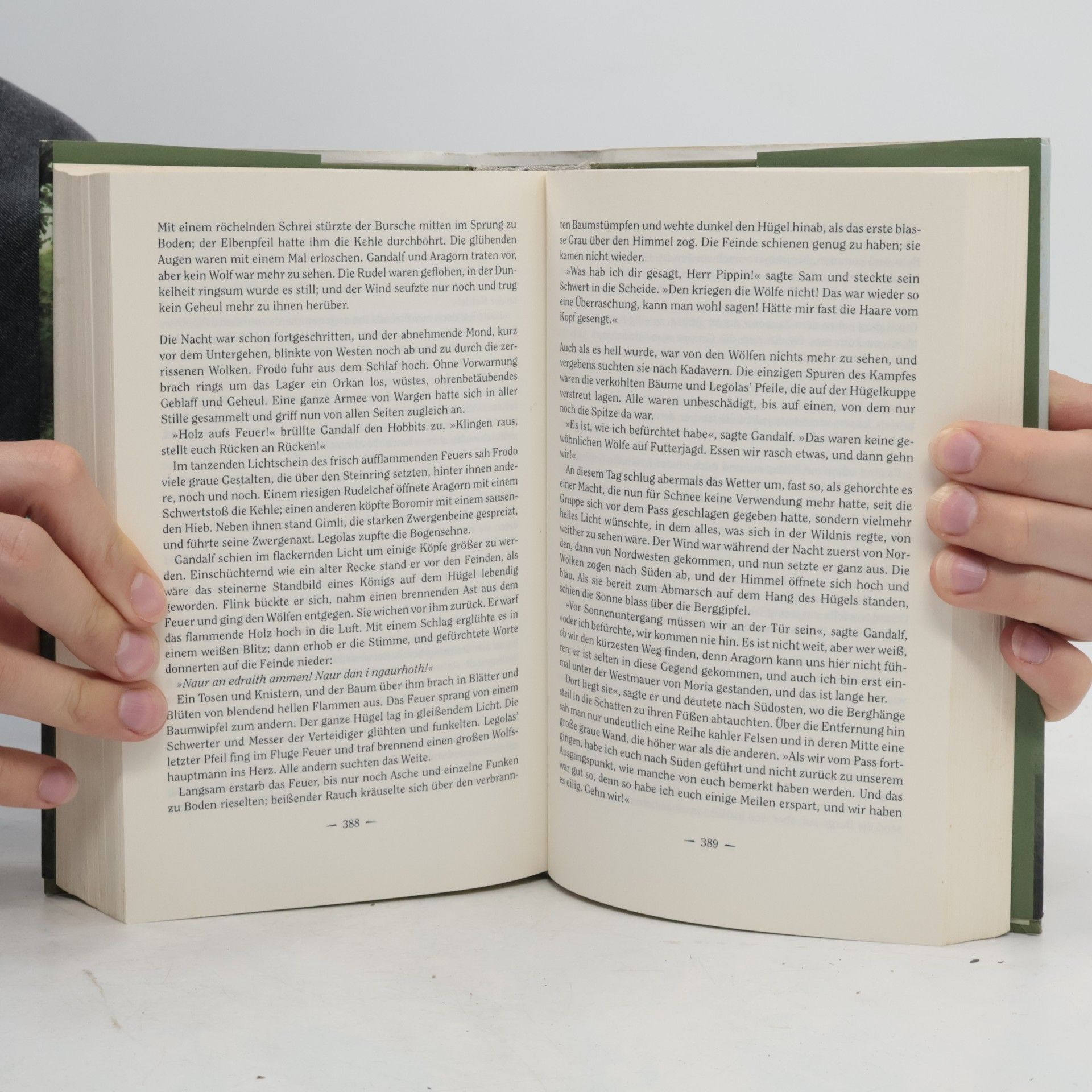 J. R. R. Tolkien Der Herr der Ringe 1. Die Gefährten