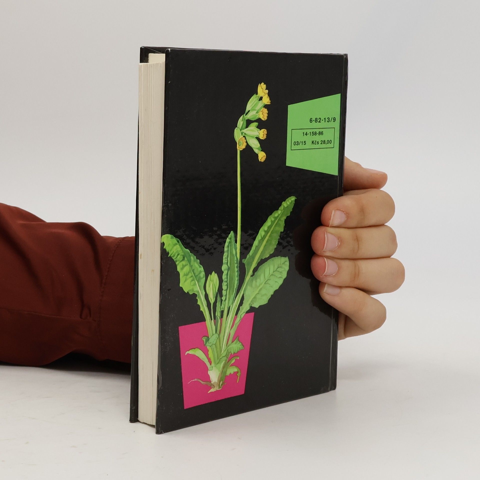Albert Pilát Kapesní atlas rostlin