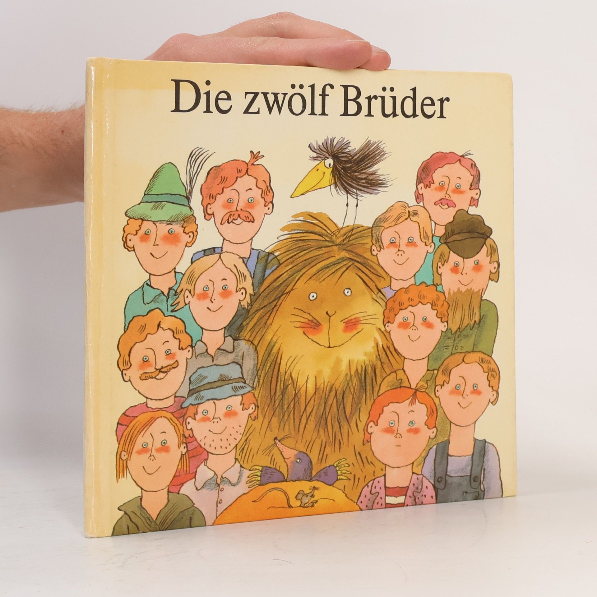 Jurij Koch Die zwölf Brüder
