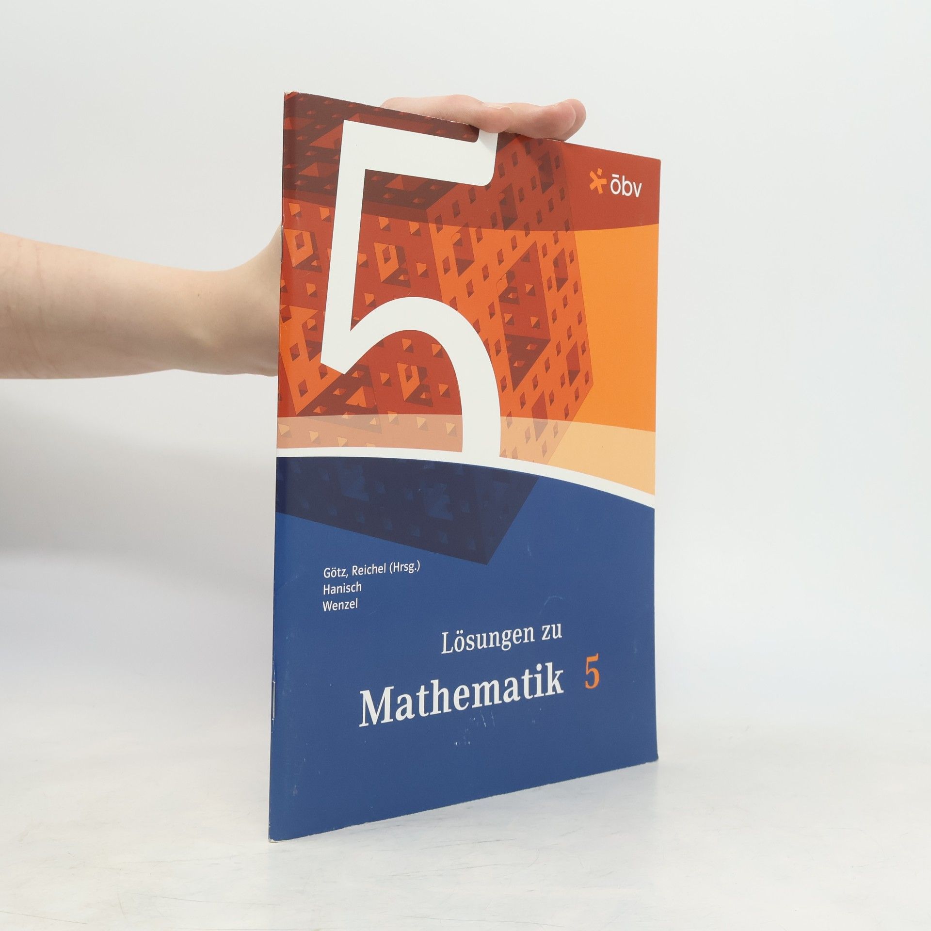 AA.VV. Lösungen zu Mathematik 5