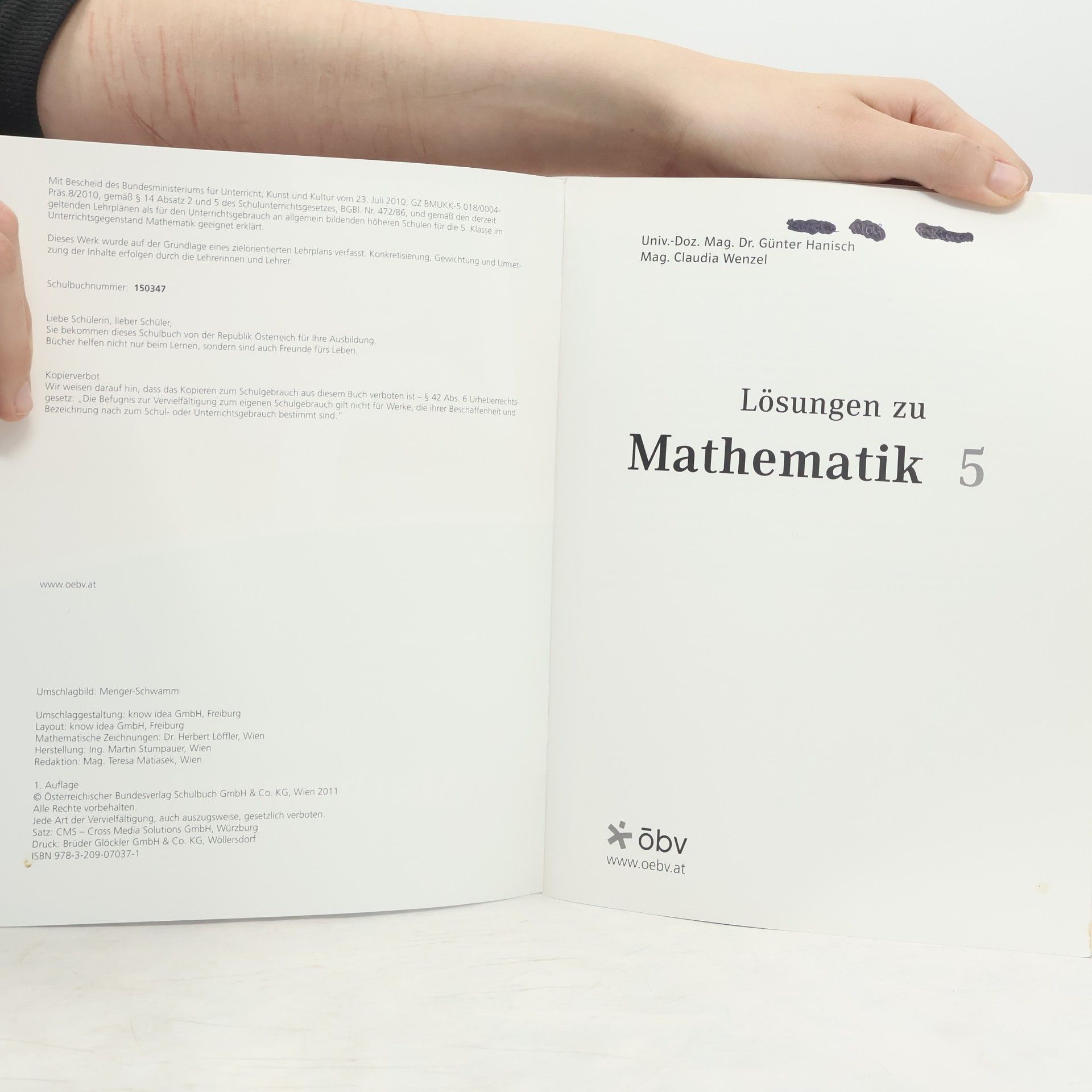AA.VV. Lösungen zu Mathematik 5