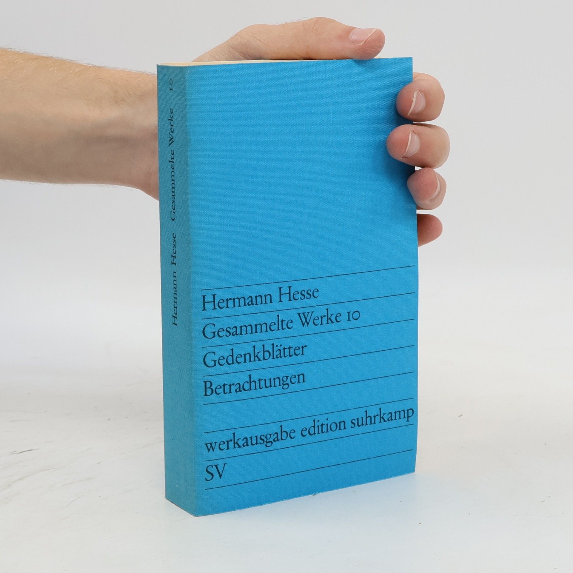 Hermann Hesse Gesammelte Werke 10.