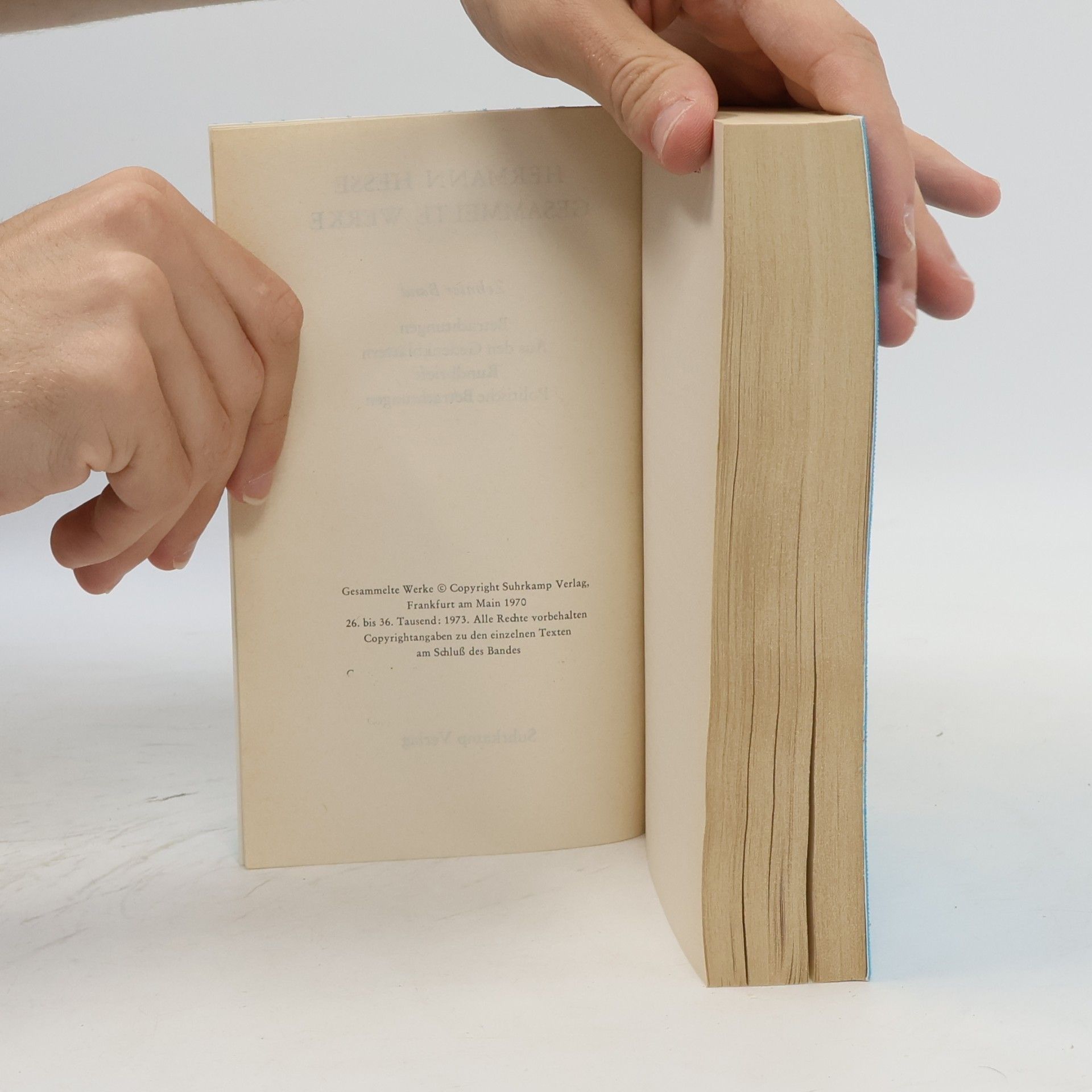 Hermann Hesse Gesammelte Werke 10.