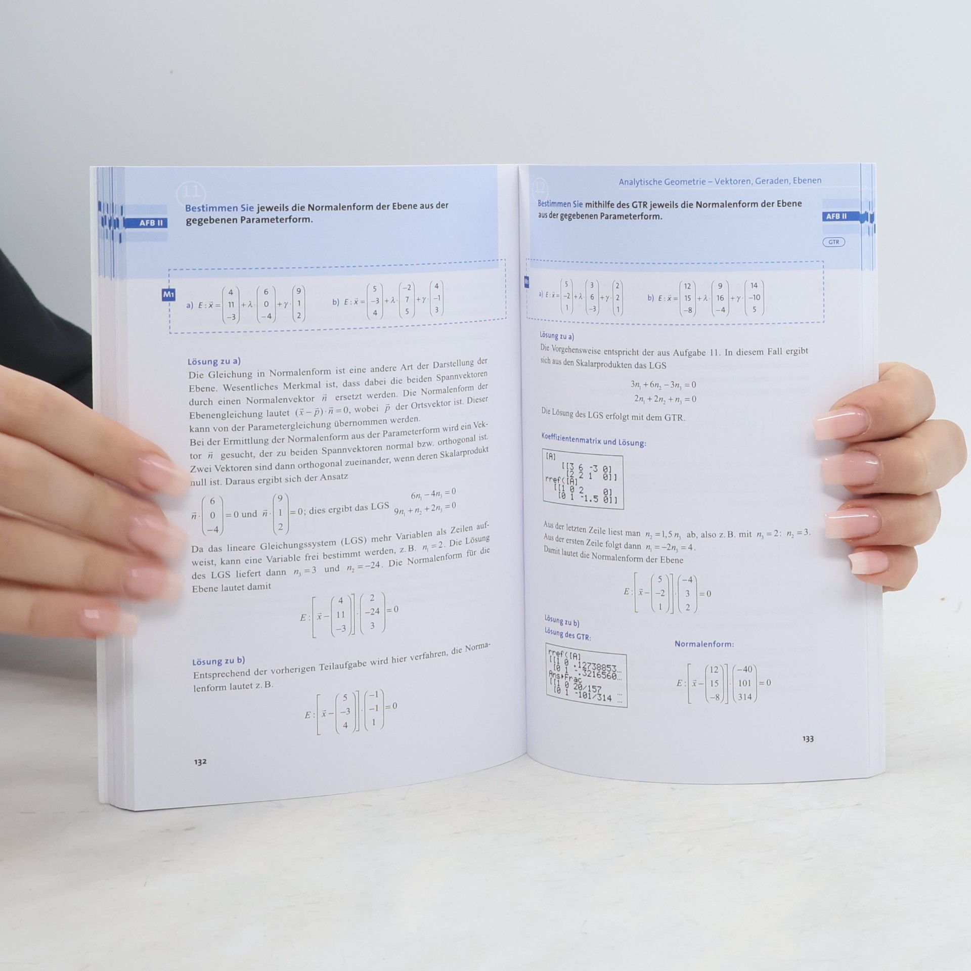 Kolektív autorov 100 Prüfungsfragen Abitur: Mathematik