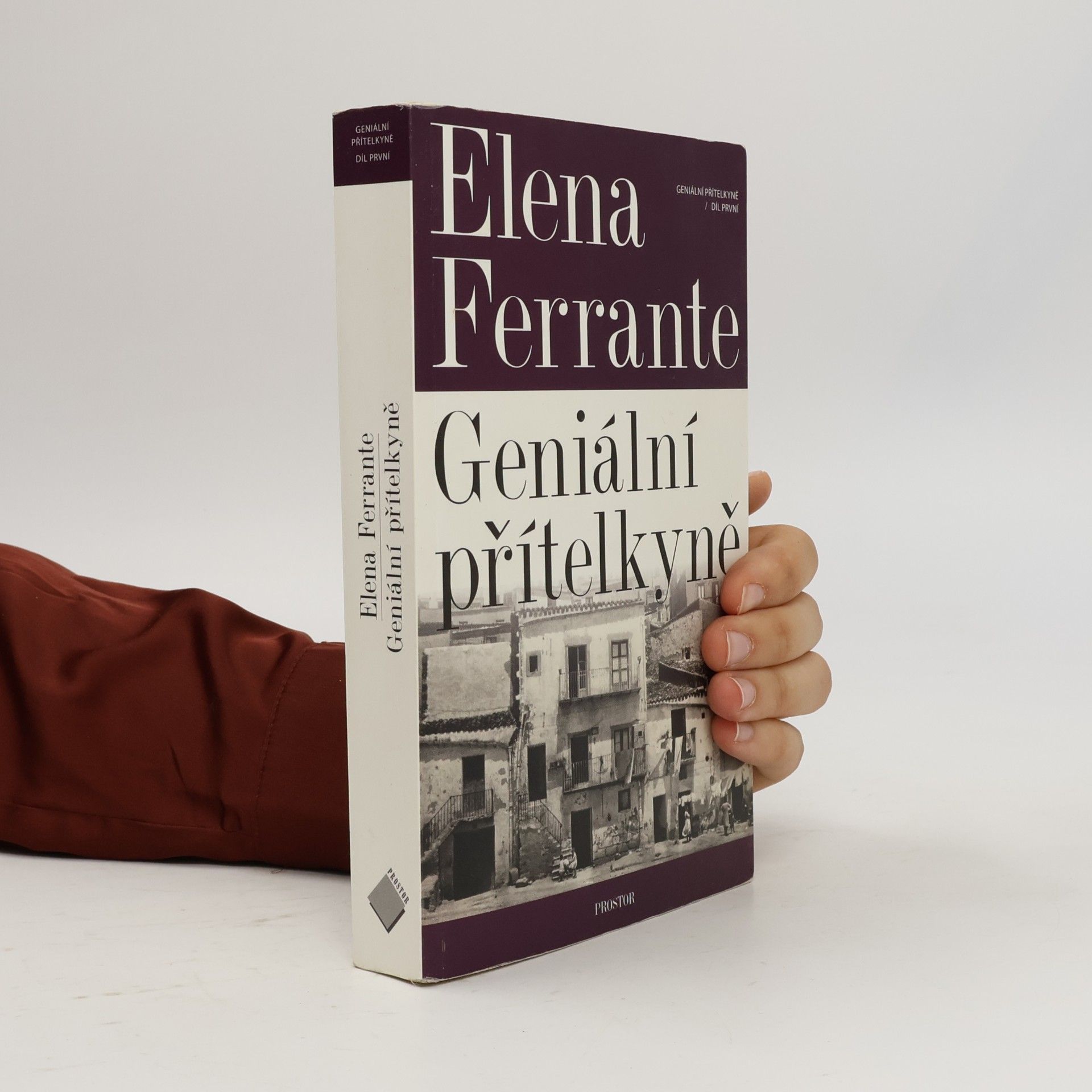 Elena Ferrante Geniální přítelkyně 1. Dětství a dospívání