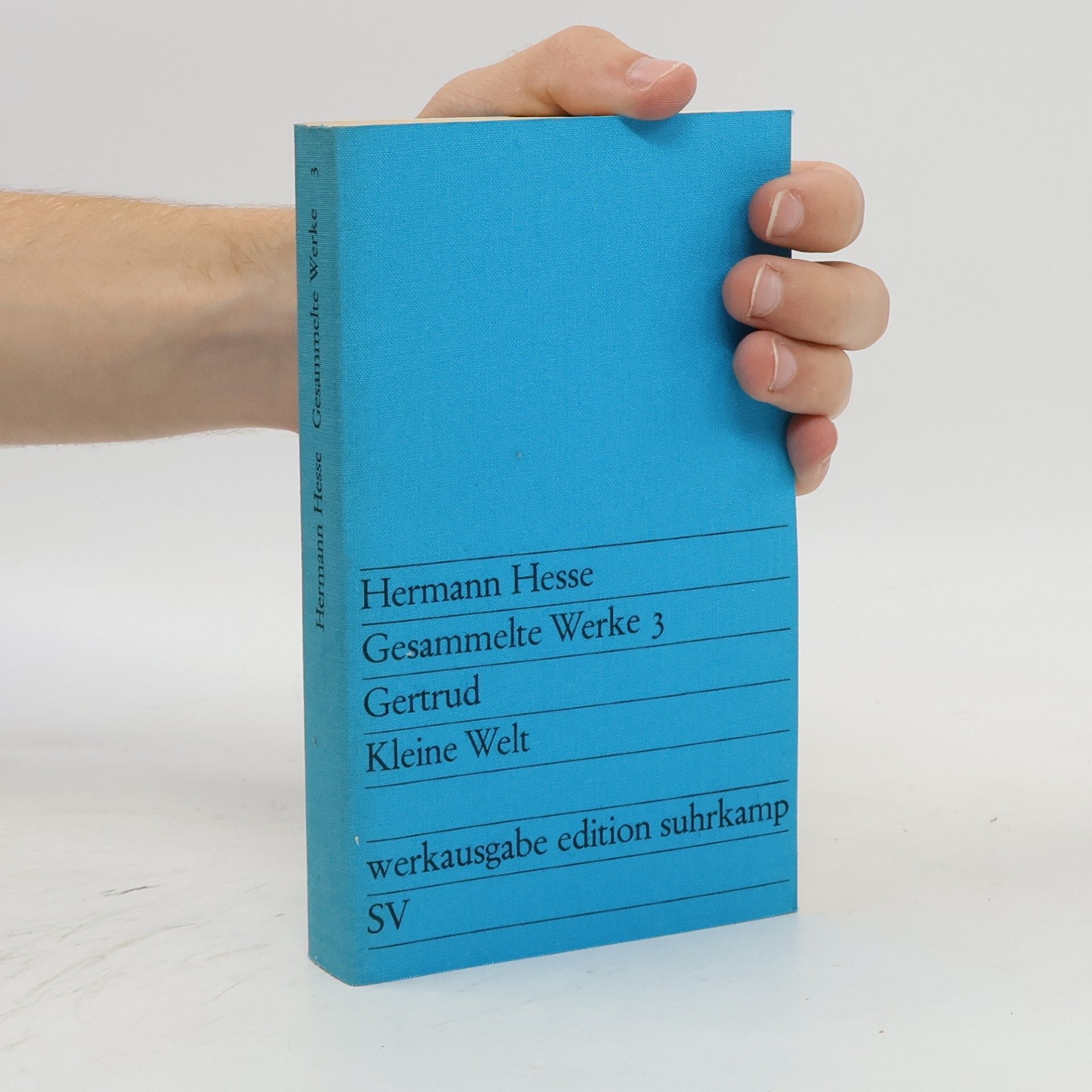 Hermann Hesse Gesammelte Werke 3. Gertrud. Kleine Welt