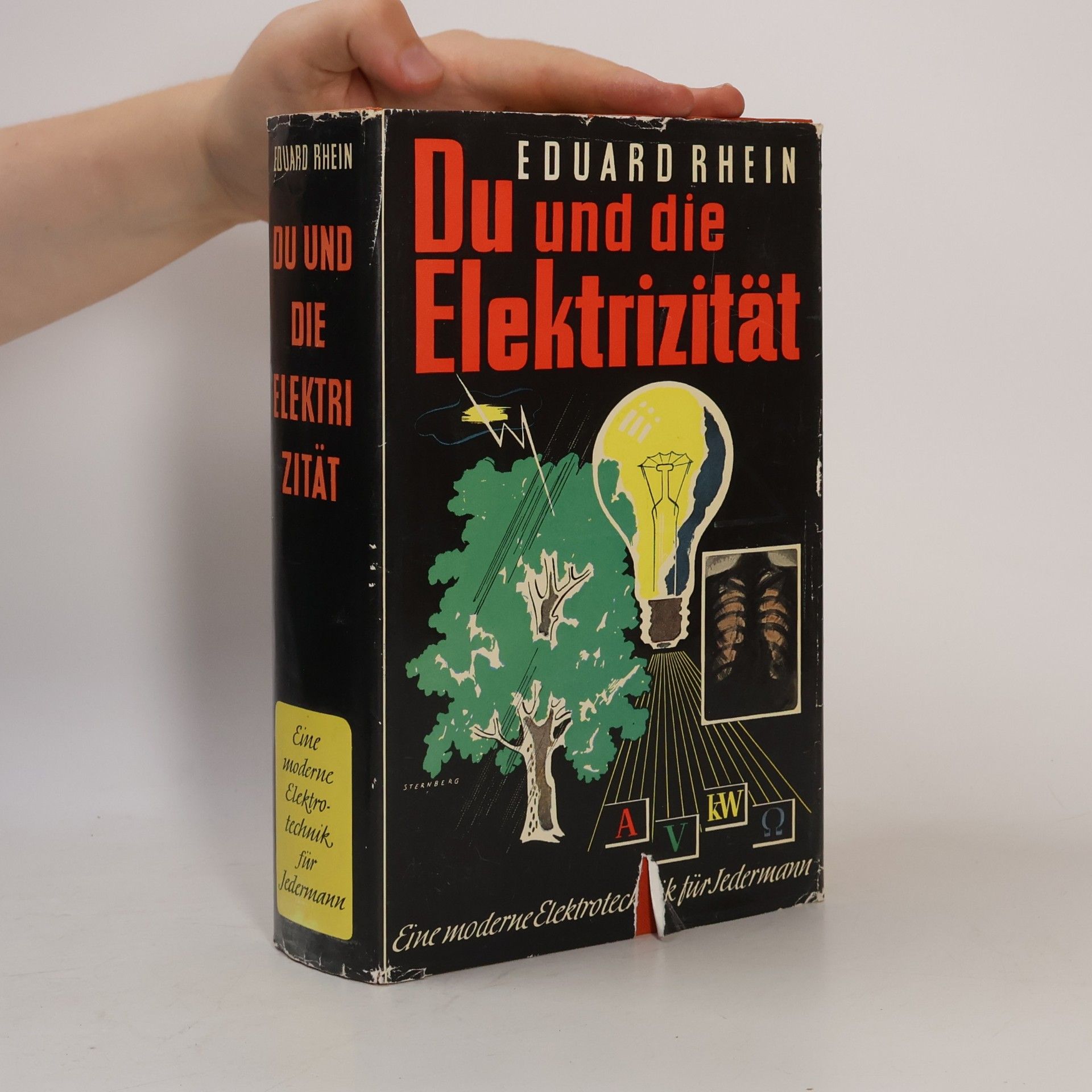 Eduard Rhein Du und die Elektrizität