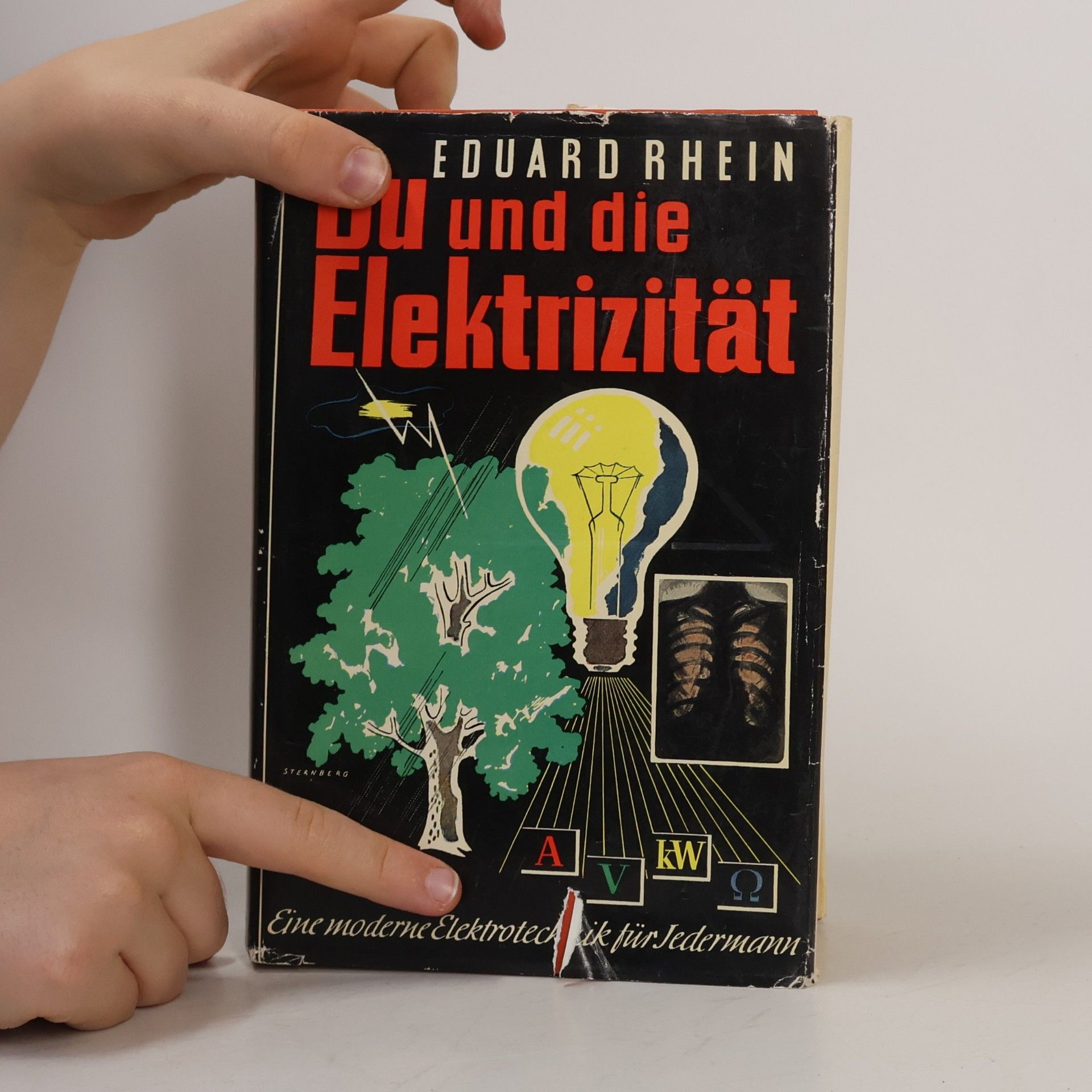 Eduard Rhein Du und die Elektrizität