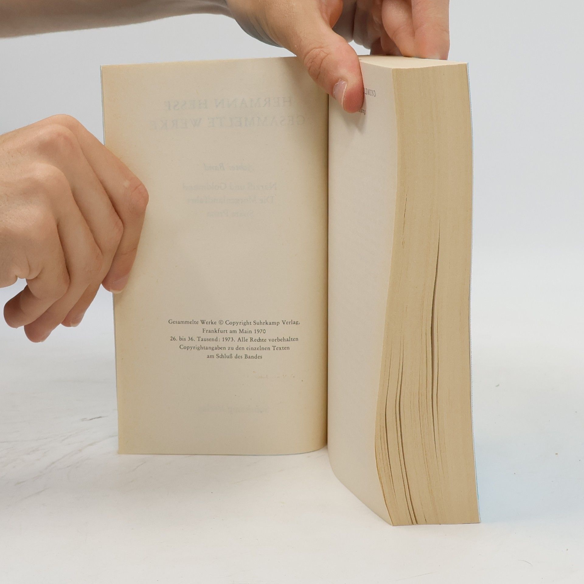 Hermann Hesse Gesammelte Werke 8. Narziß und Goldmund. Die Morgenlandfahrt