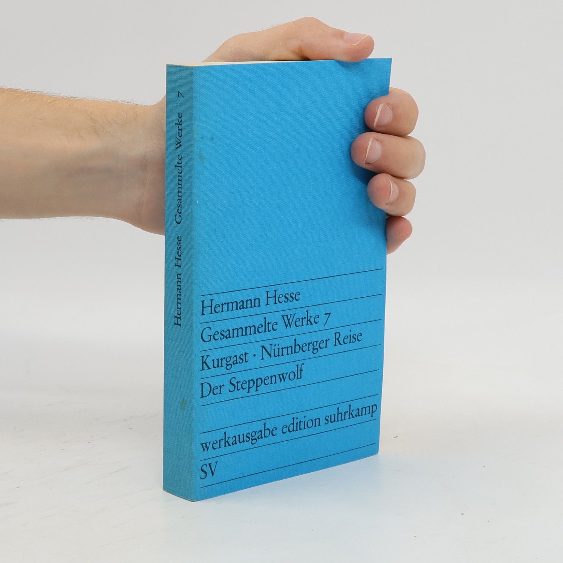 Hermann Hesse Gesammelte Werke 7. Kurgast. Nürnberger Reise. Der Steppenwolf